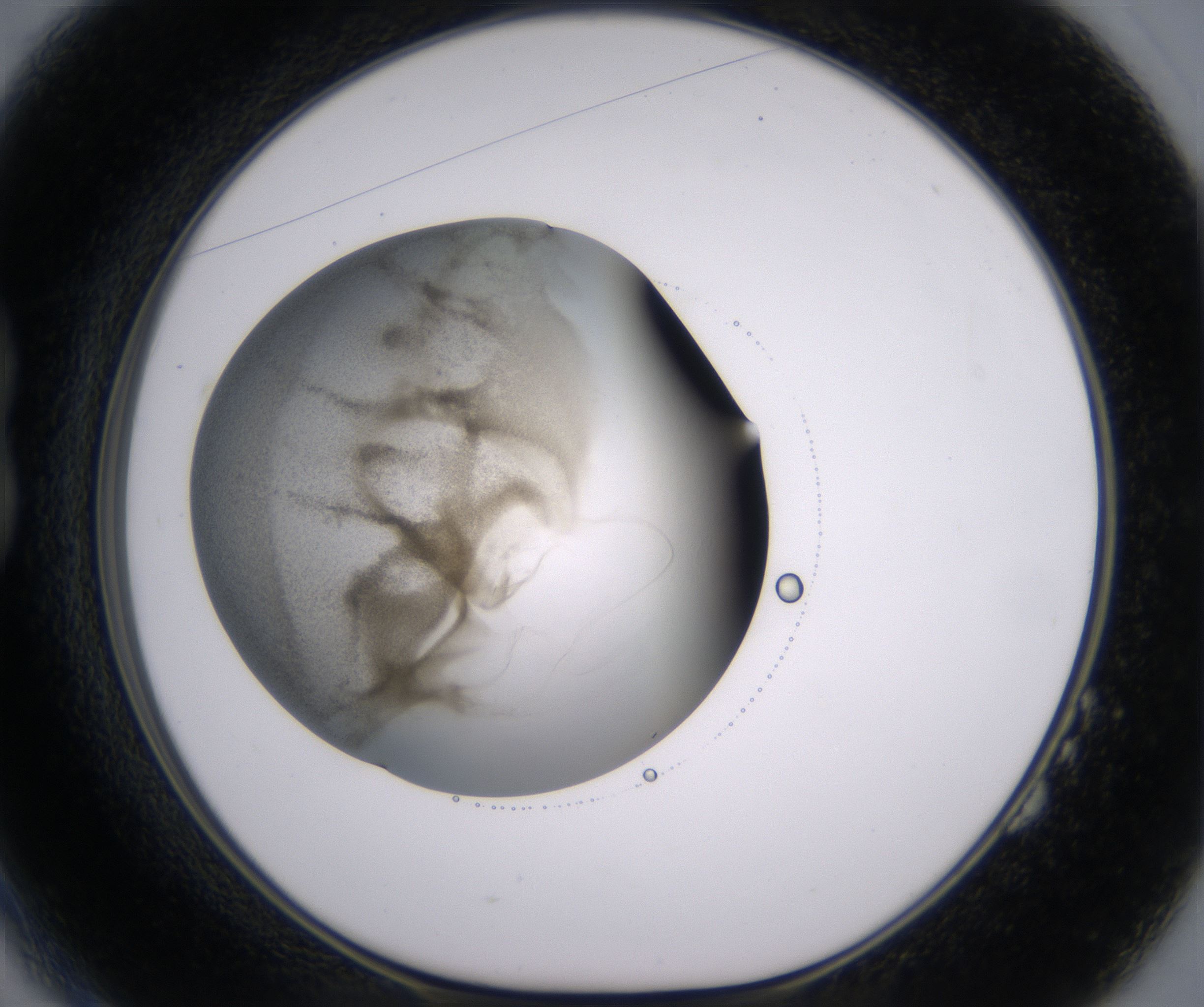 B2_HighResolution_Precipitate_1.jpg