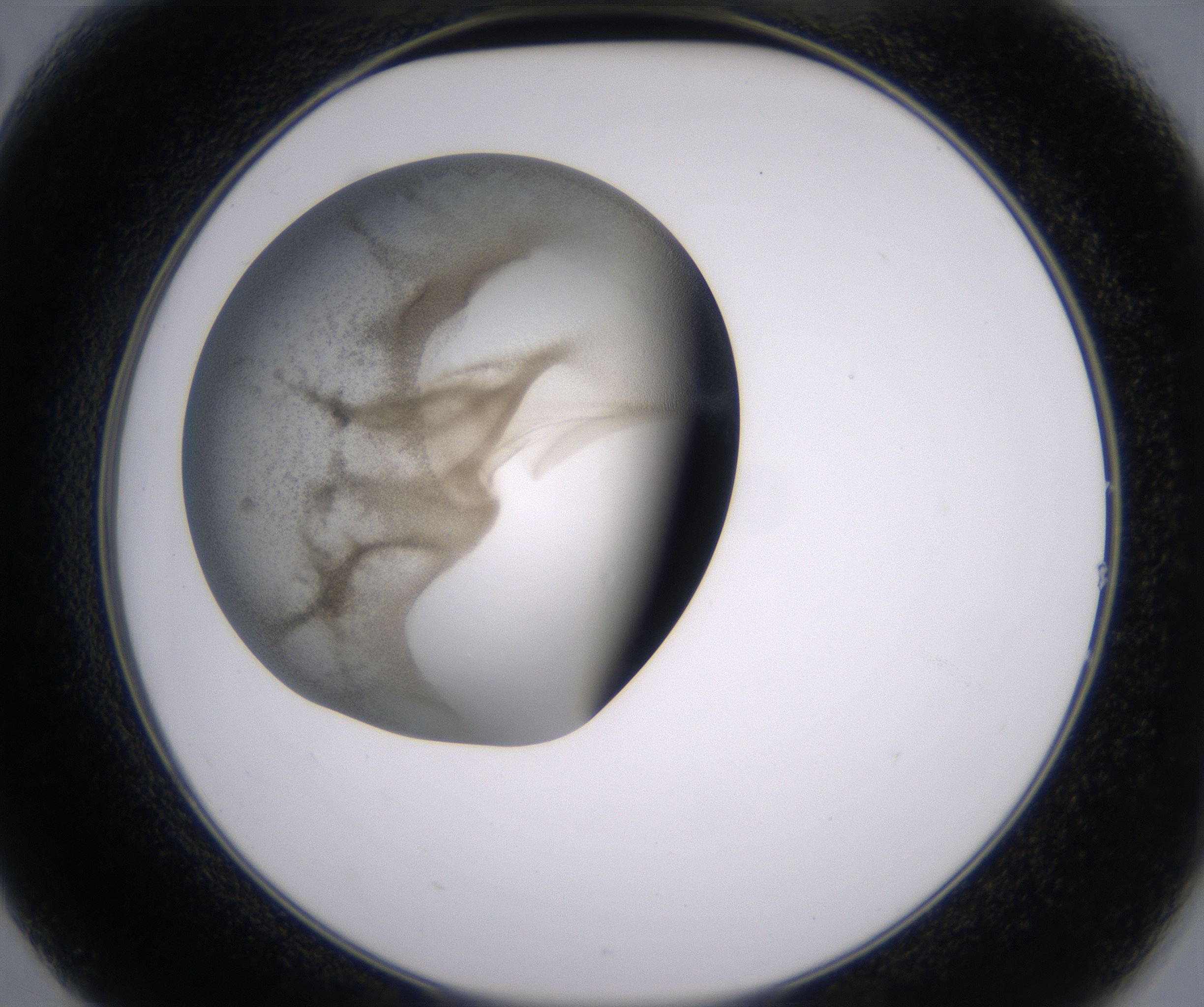 B2_HighResolution_Precipitate_2.jpg