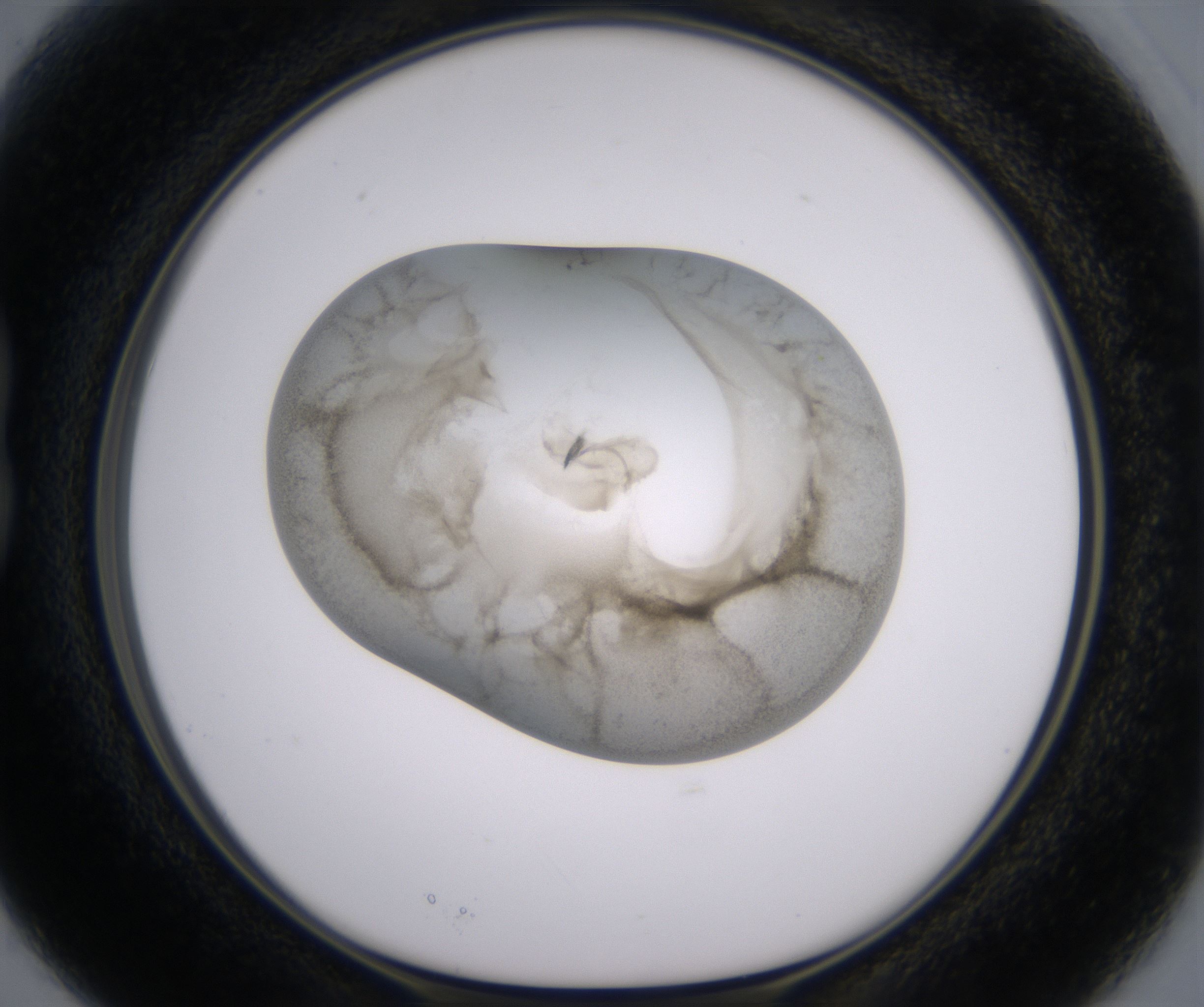 B3_HighResolution_Precipitate_1.jpg