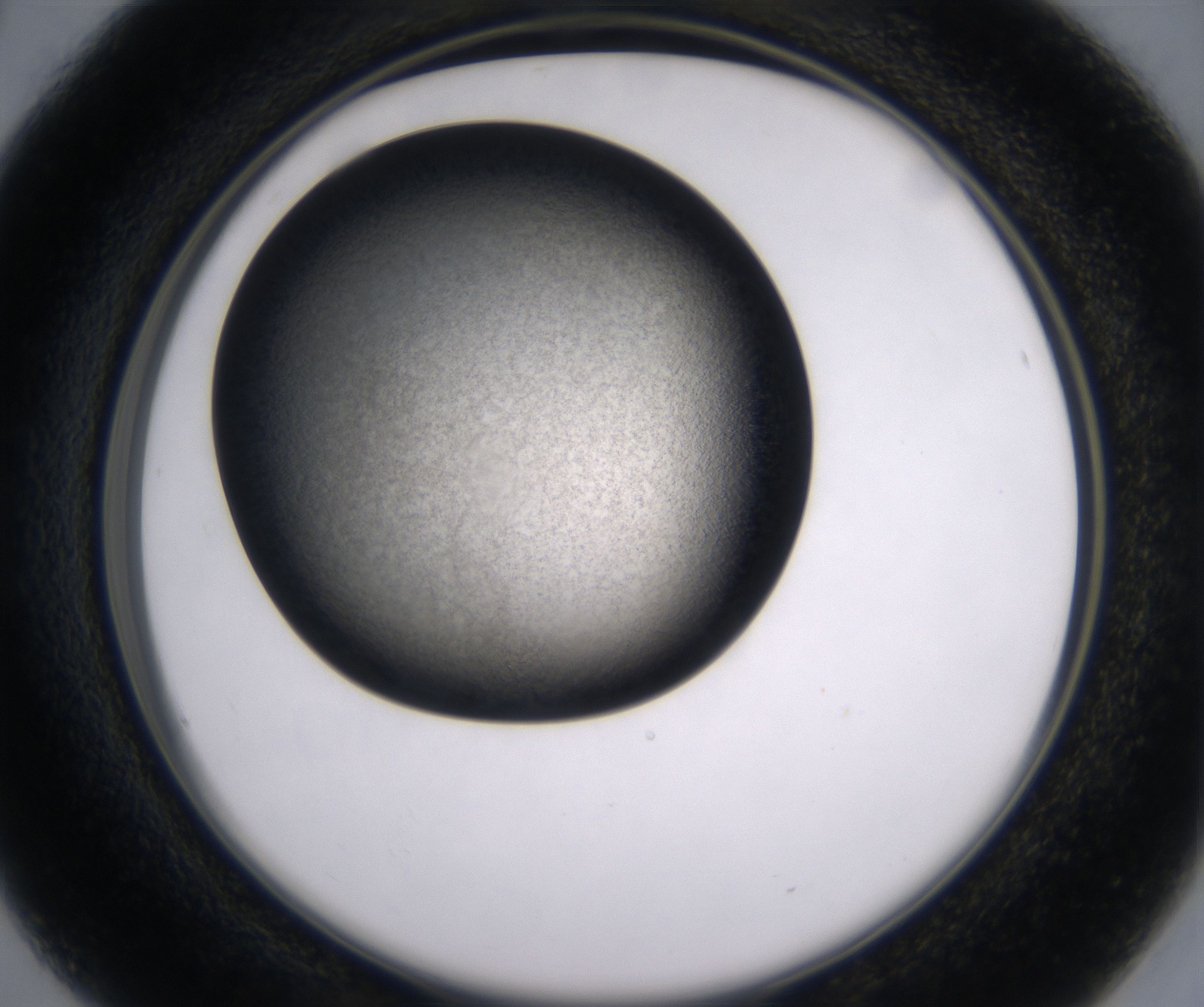 B4_HighResolution_Precipitate_2.jpg