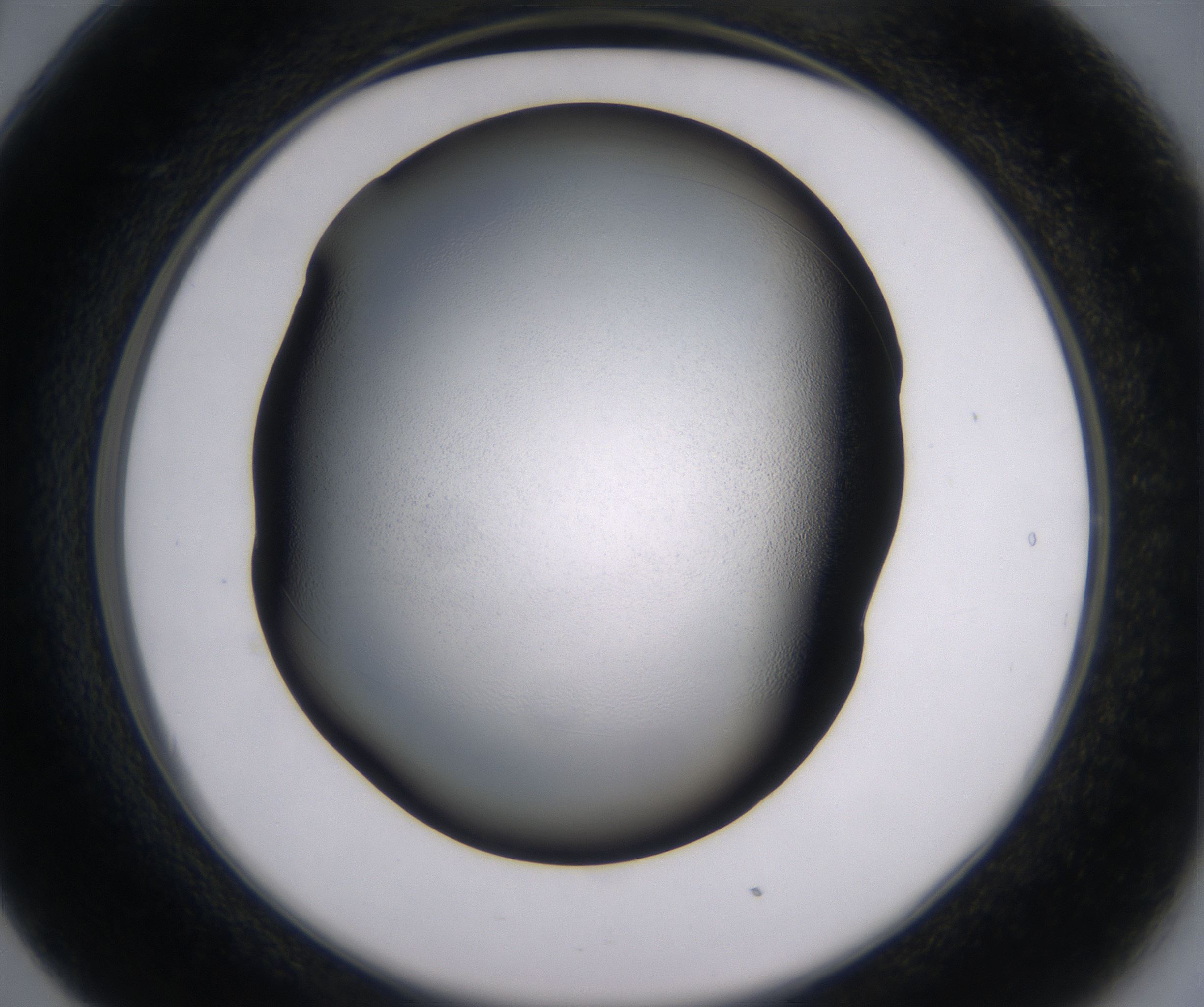 B5_HighResolution_Clear_2.jpg