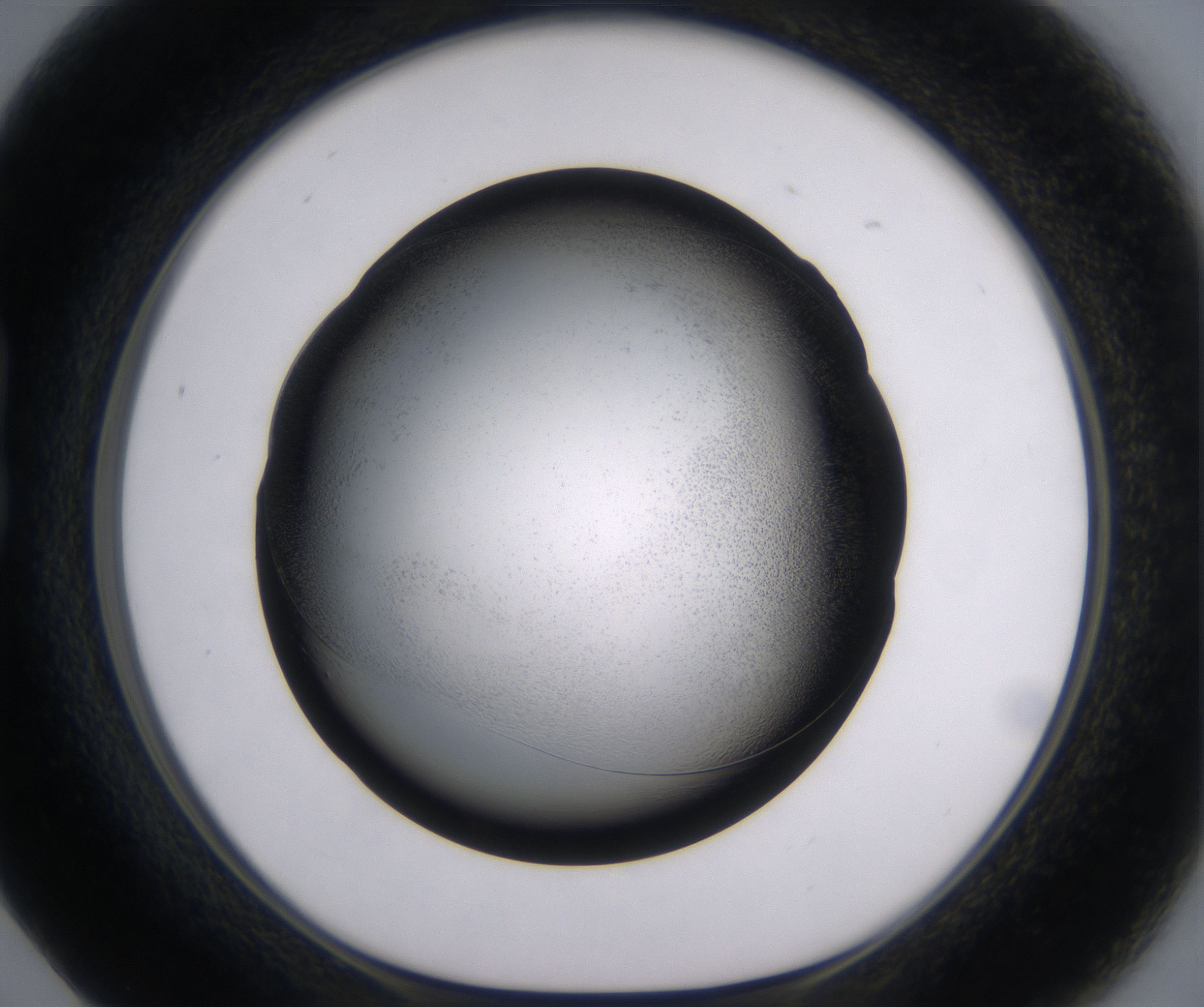 B5_HighResolution_Precipitate_1.jpg