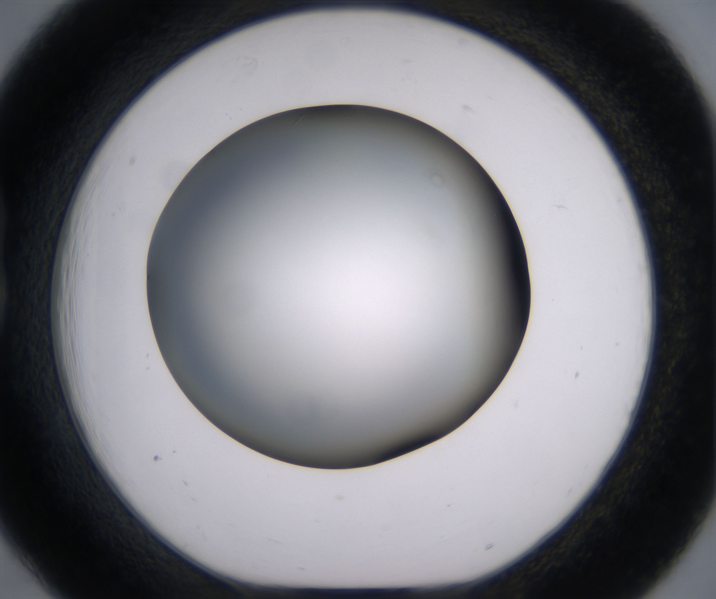 B6_HighResolution_Clear_1.jpg
