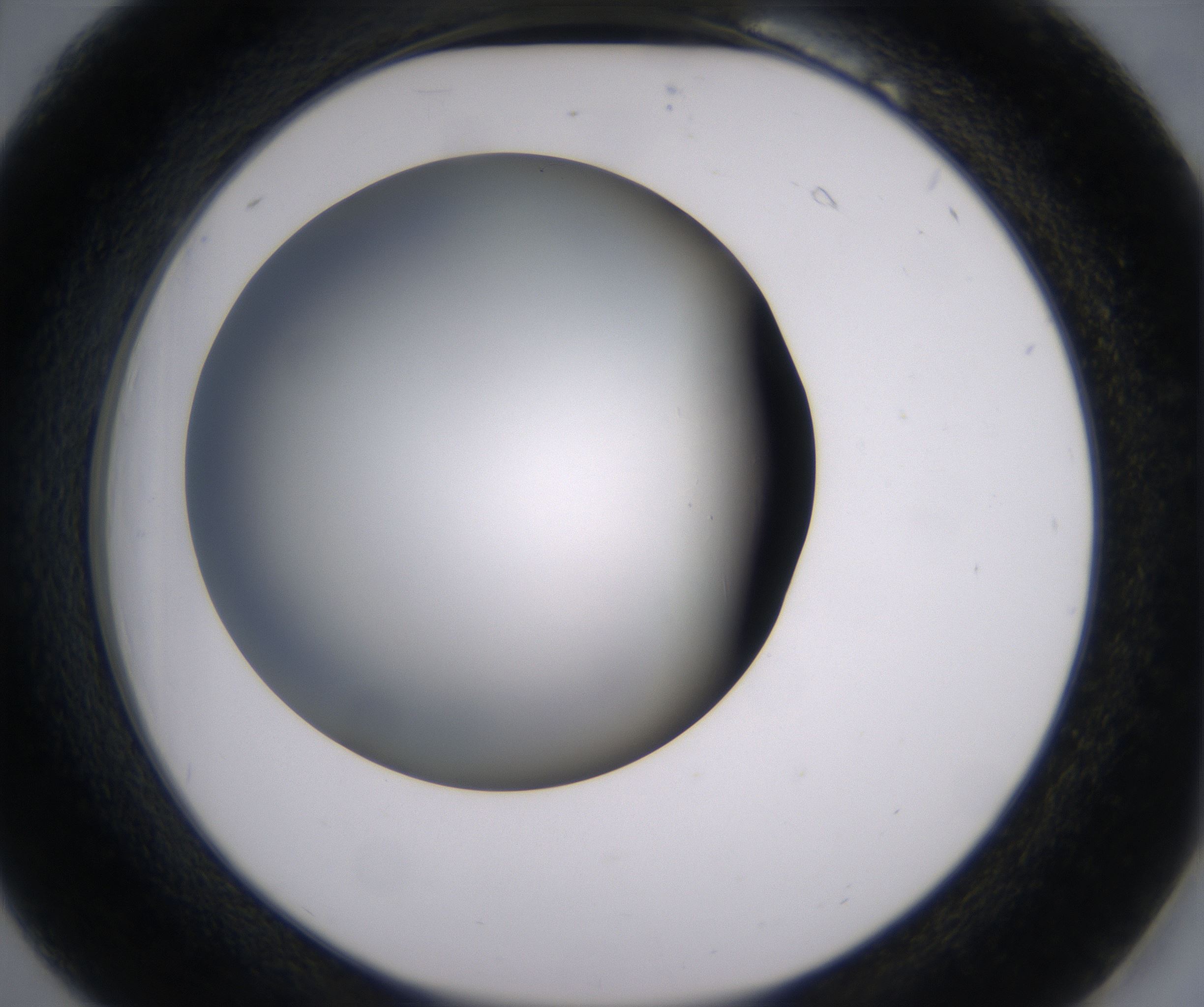 B6_HighResolution_Clear_2.jpg