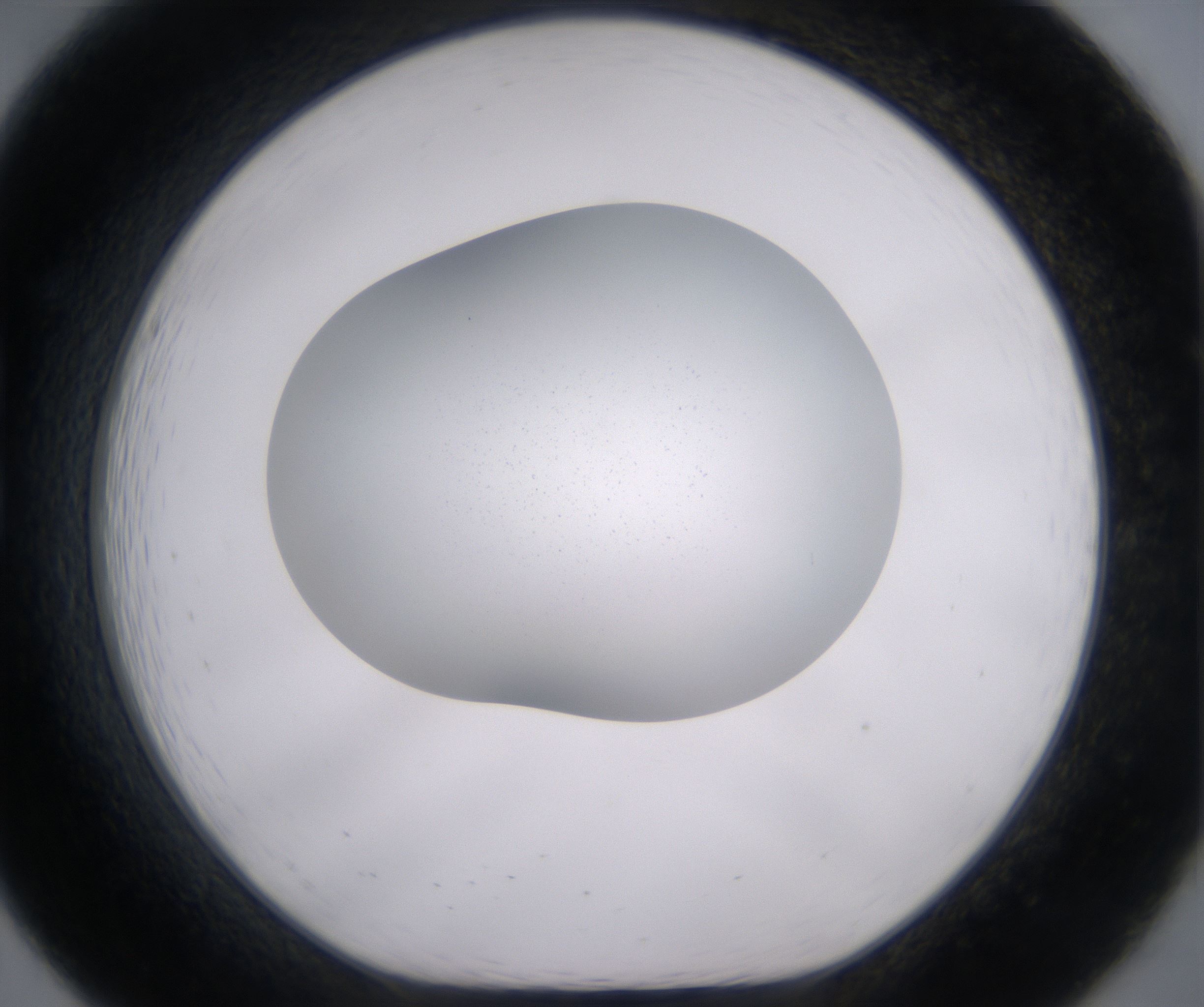 B7_HighResolution_Clear_1.jpg