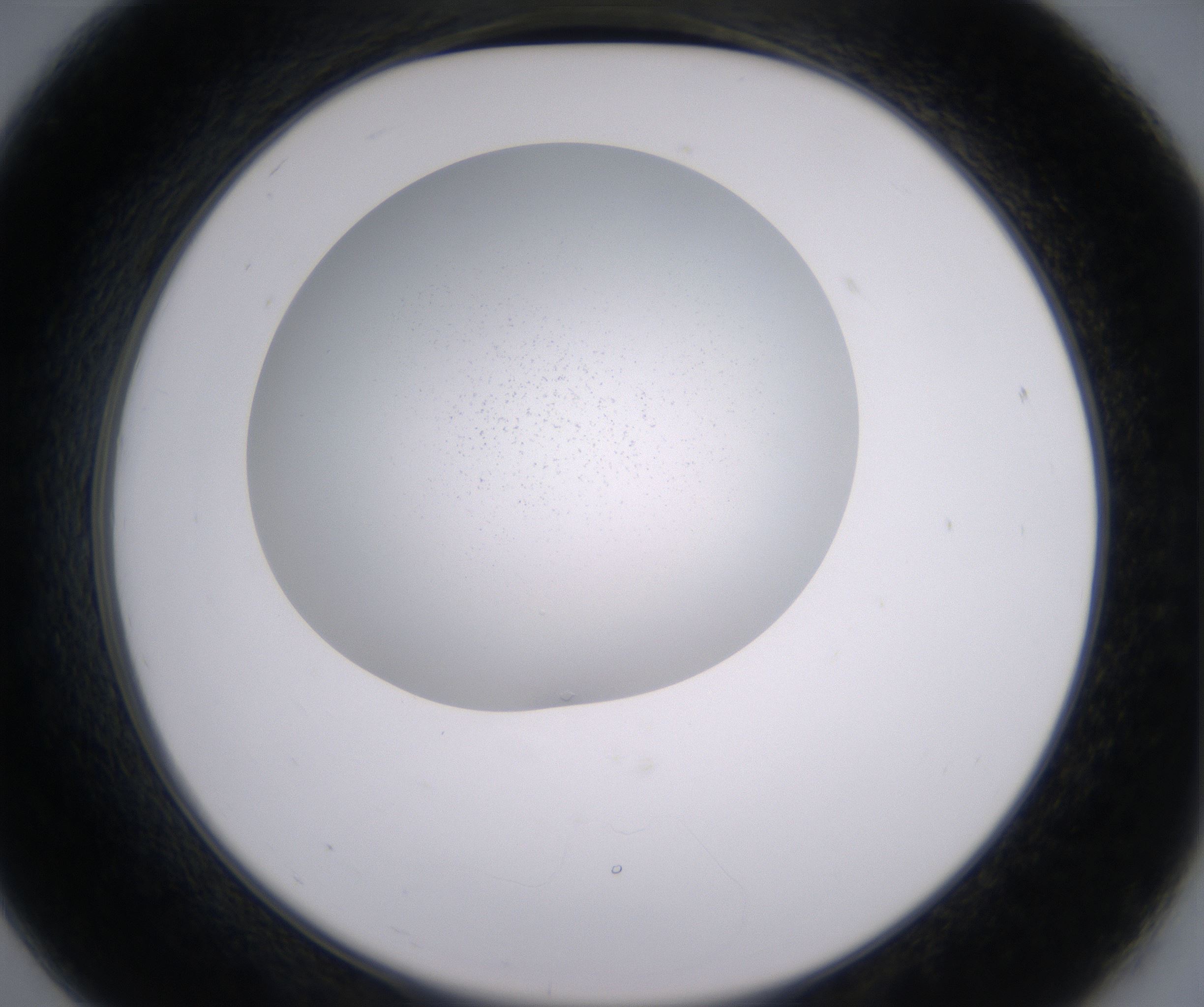 B7_HighResolution_Clear_2.jpg