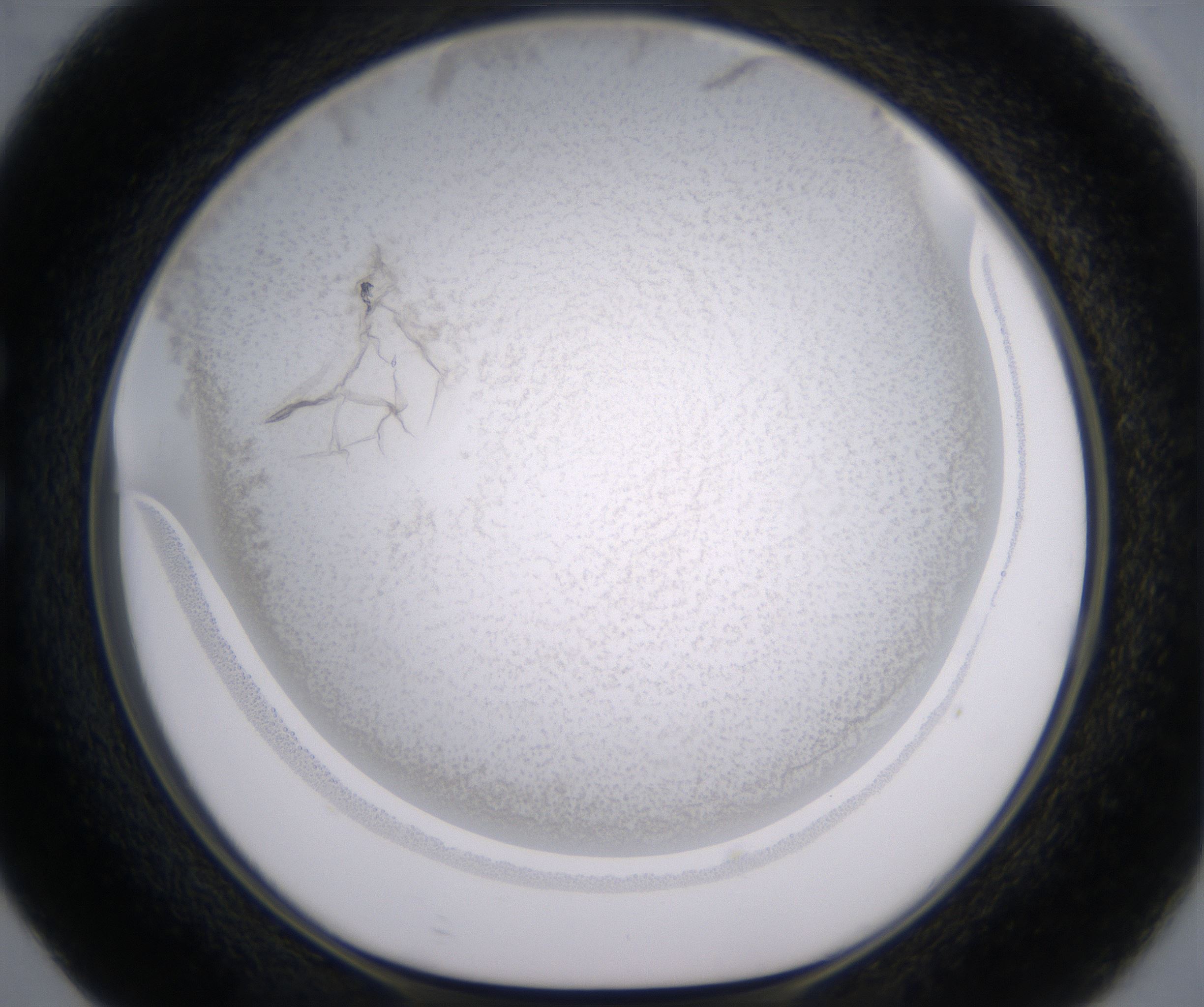 C5_HighResolution_Precipitate_1.jpg