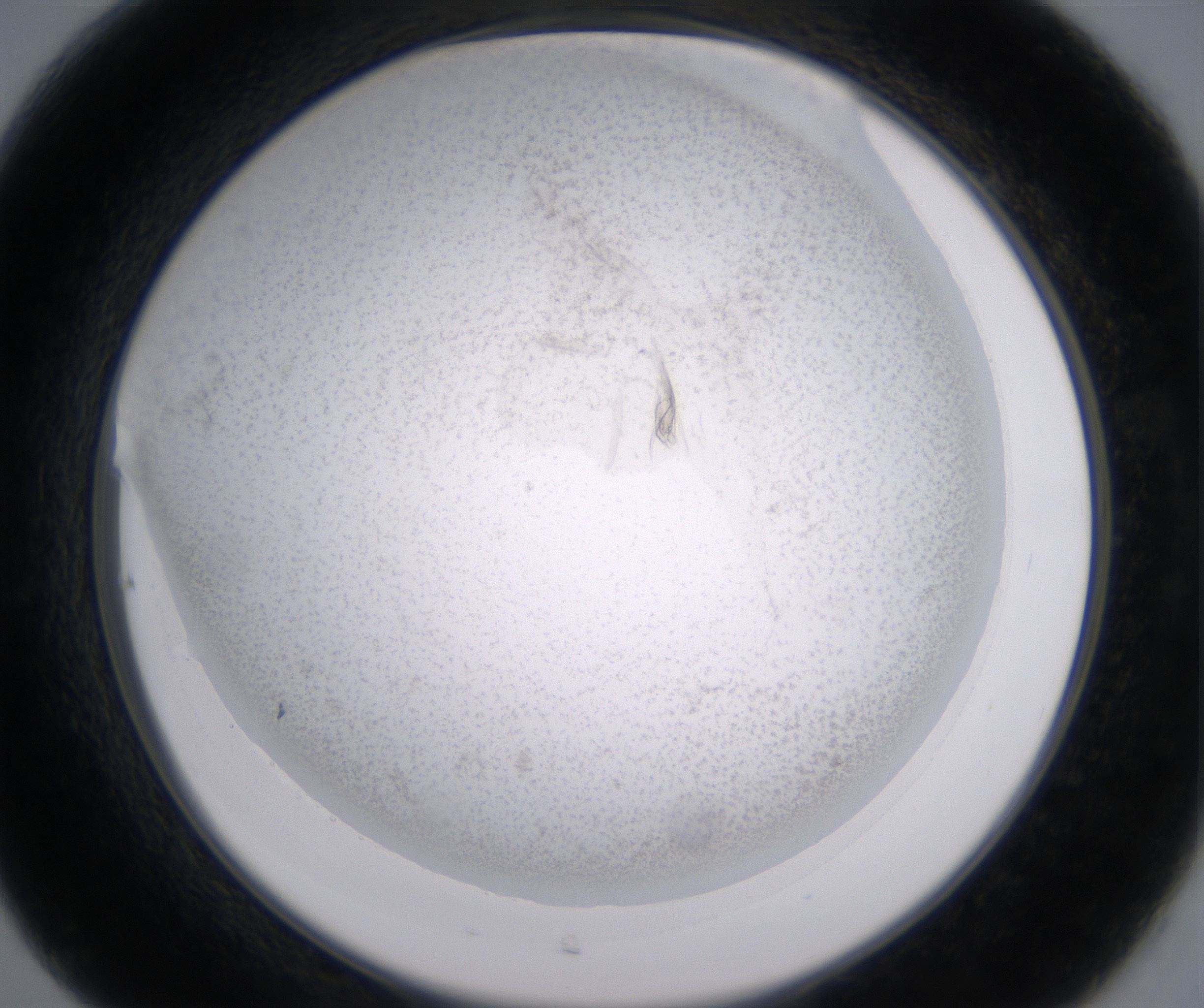 C7_HighResolution_Precipitate_2.jpg