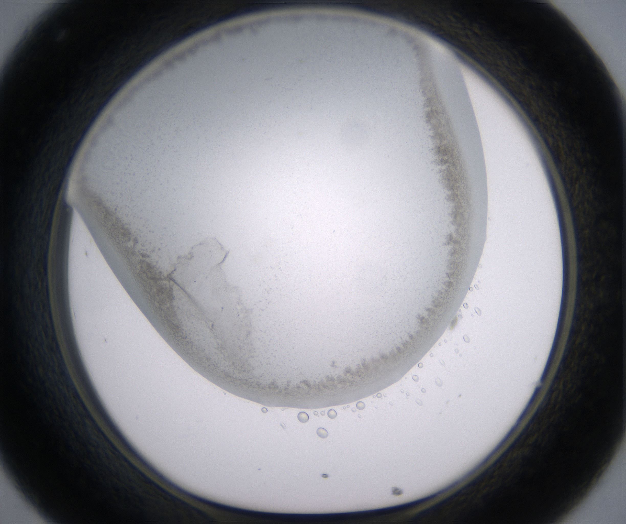 C8_HighResolution_Precipitate_1.jpg