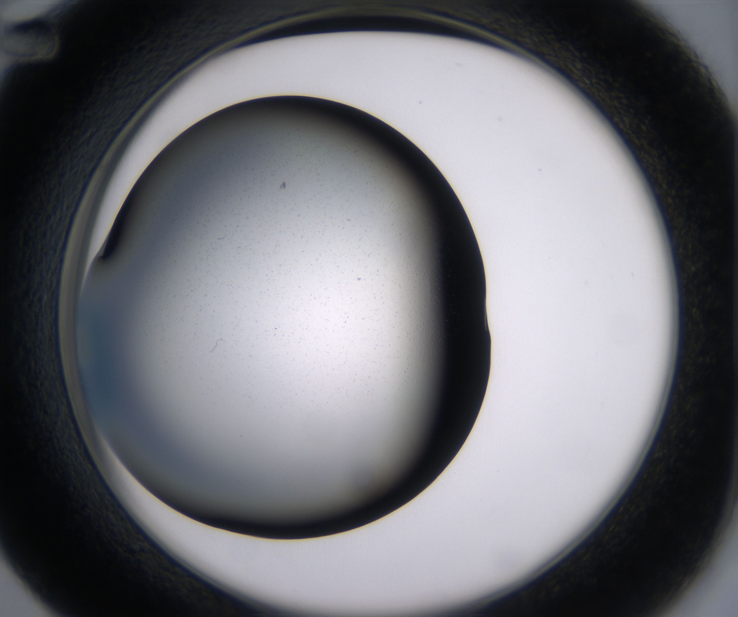 D12_HighResolution_Clear_2.jpg