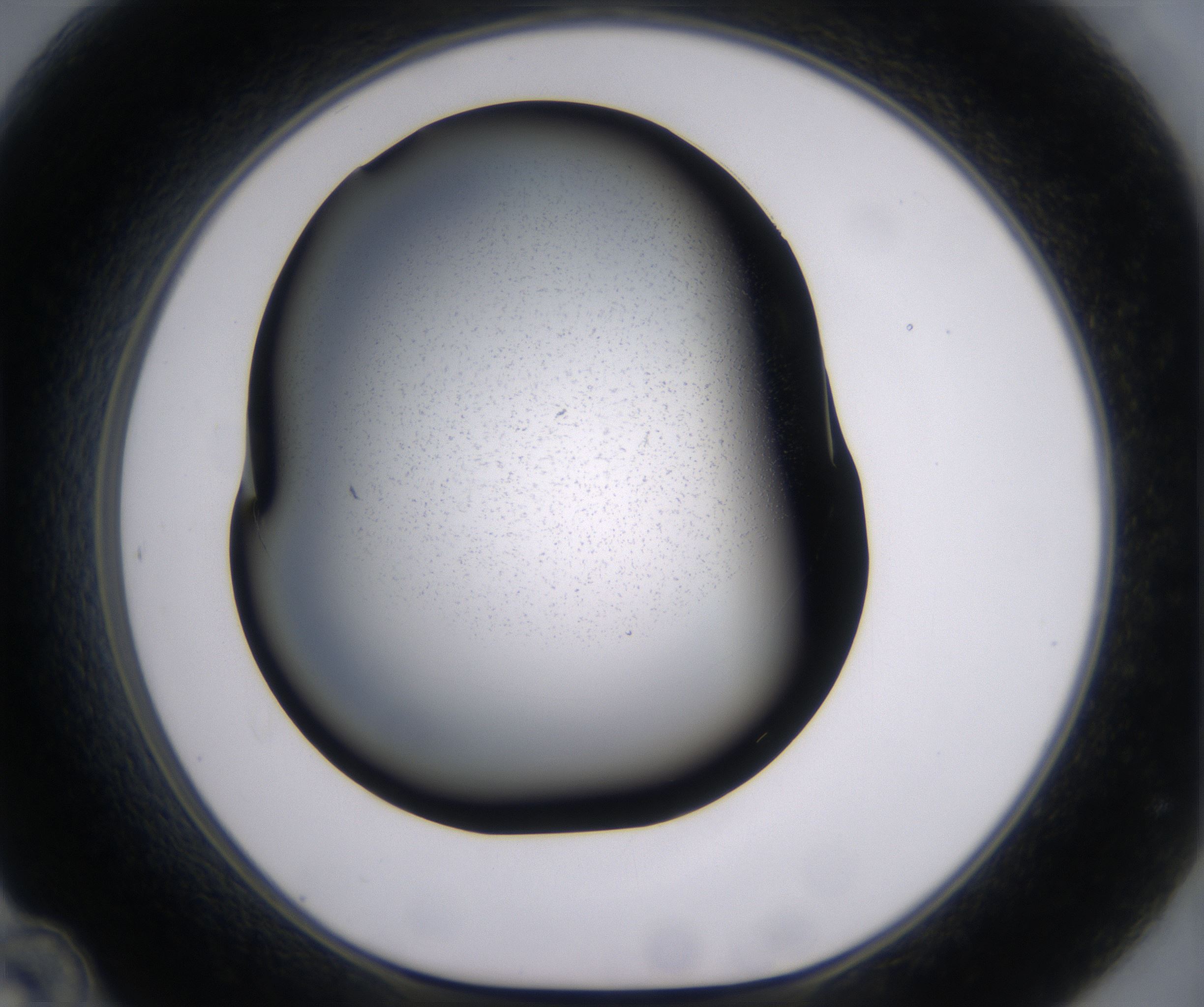 D12_HighResolution_Precipitate_1.jpg