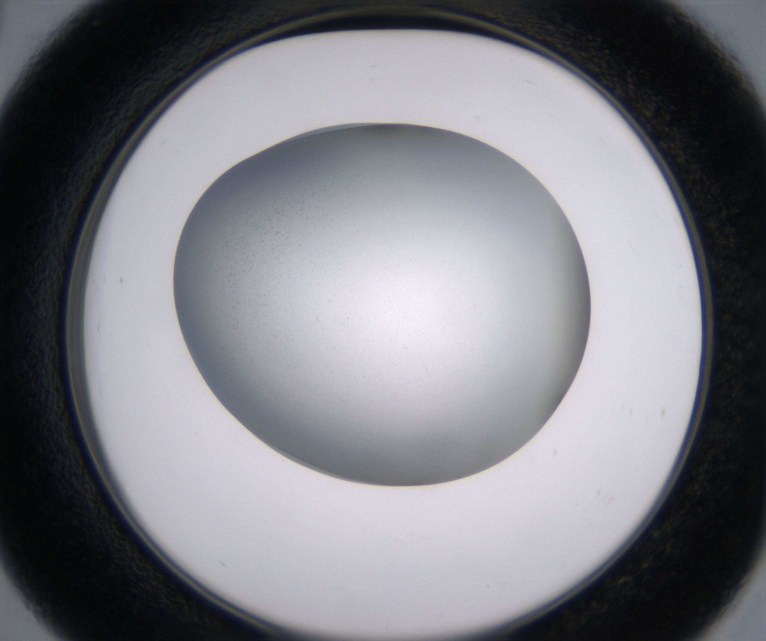 D3_HighResolution_Clear_2.jpg