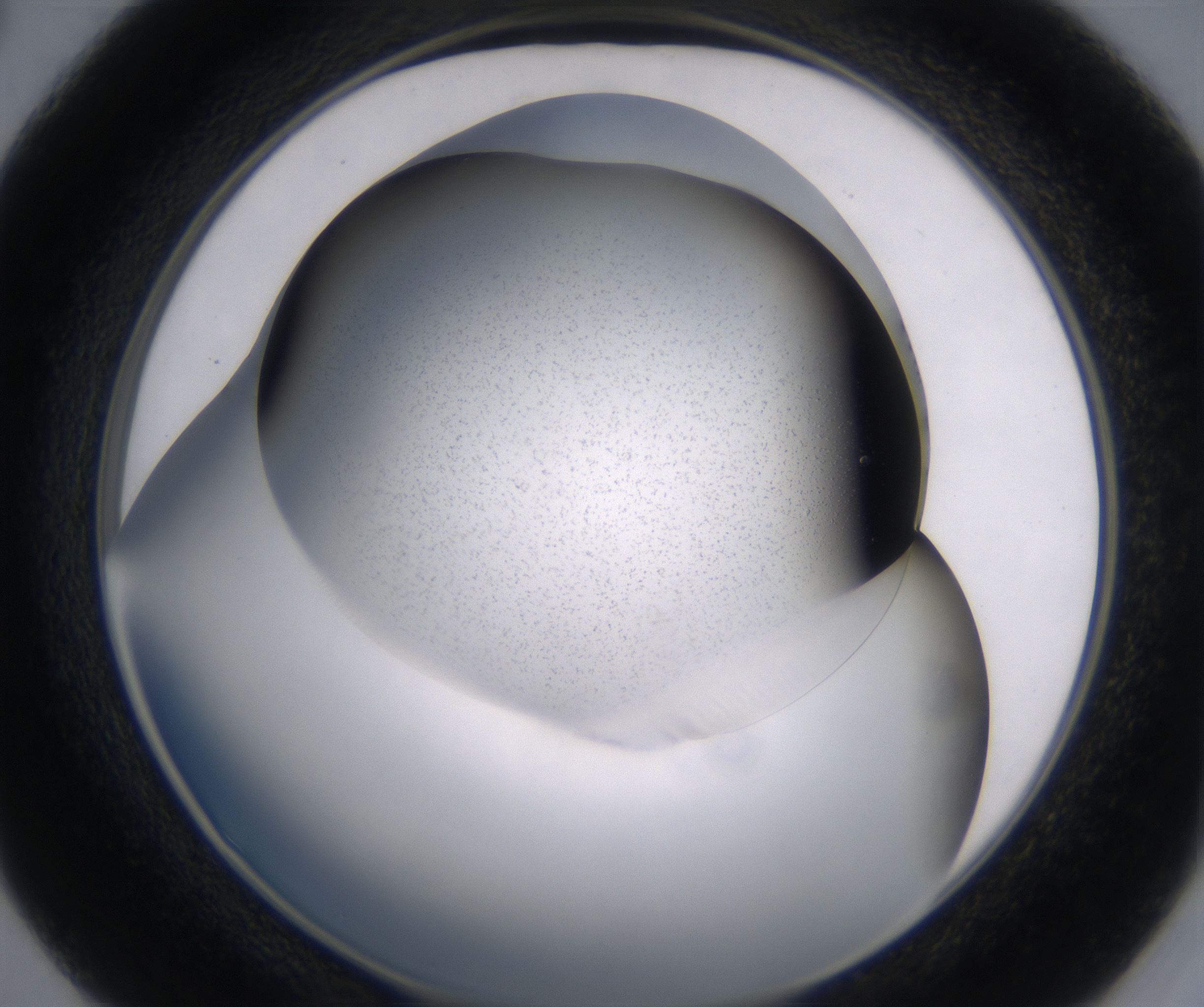 D4_HighResolution_Precipitate_2.jpg