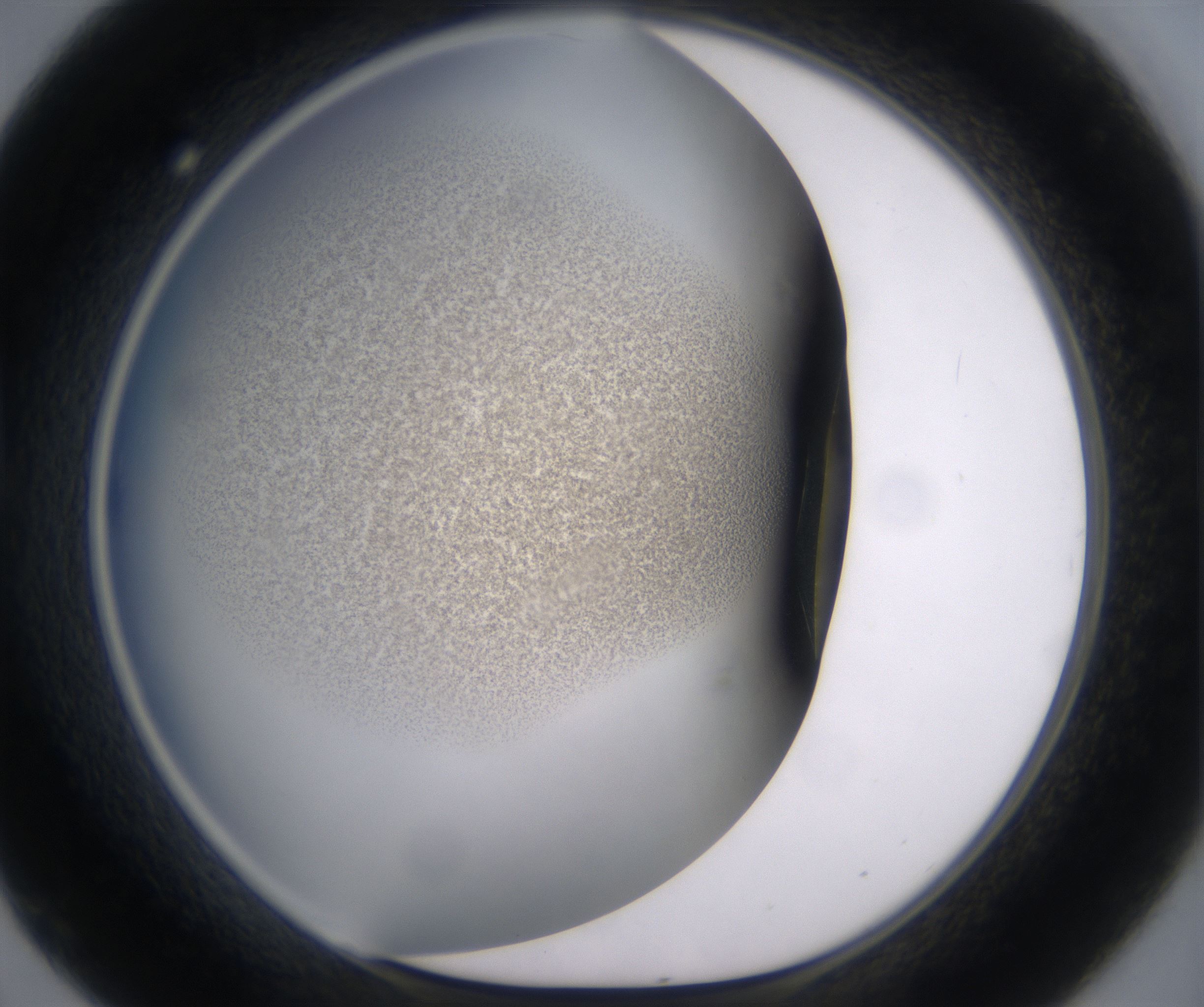 D9_HighResolution_Precipitate_1.jpg