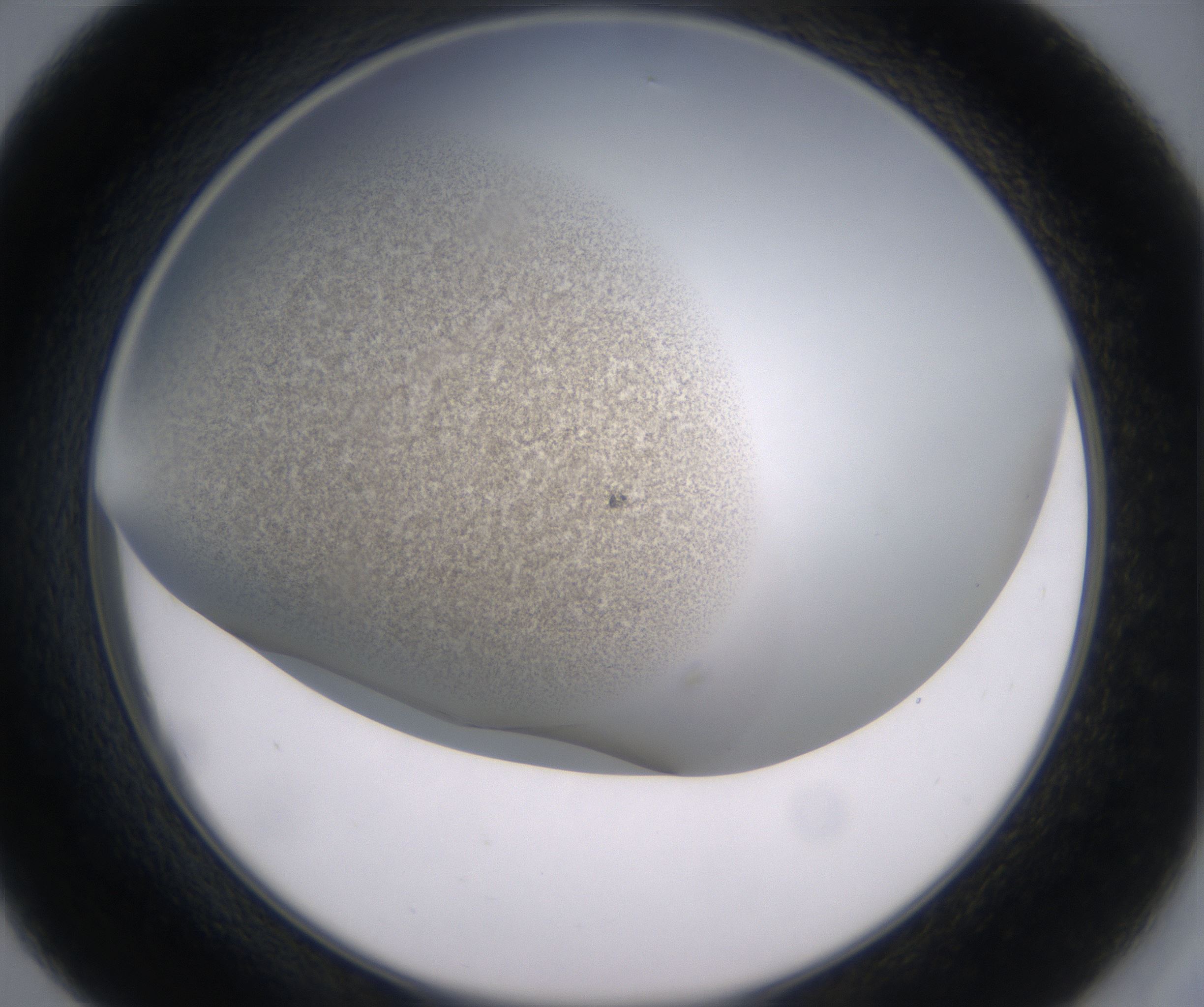 D9_HighResolution_Precipitate_2.jpg