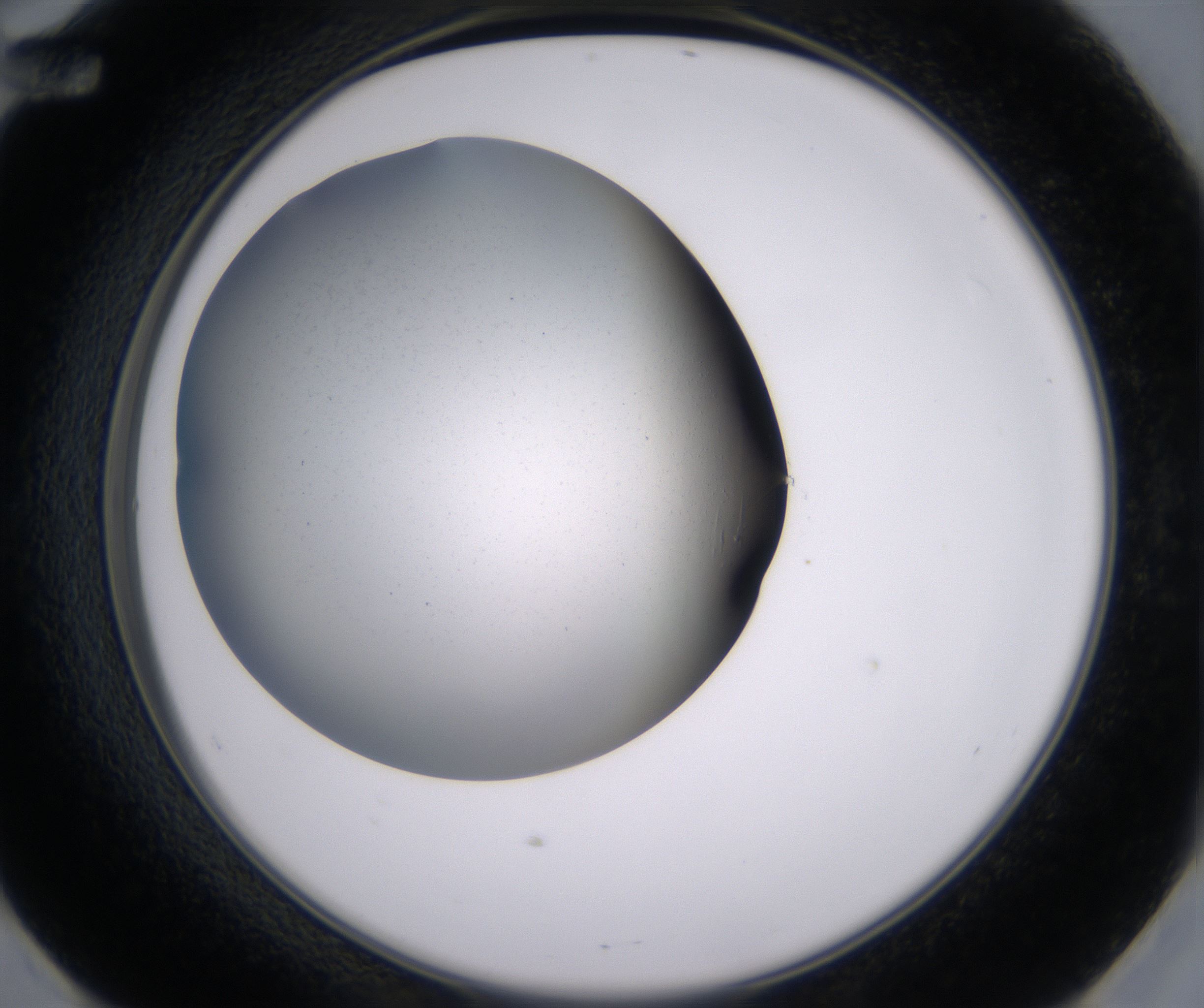 E12_HighResolution_Clear_2.jpg
