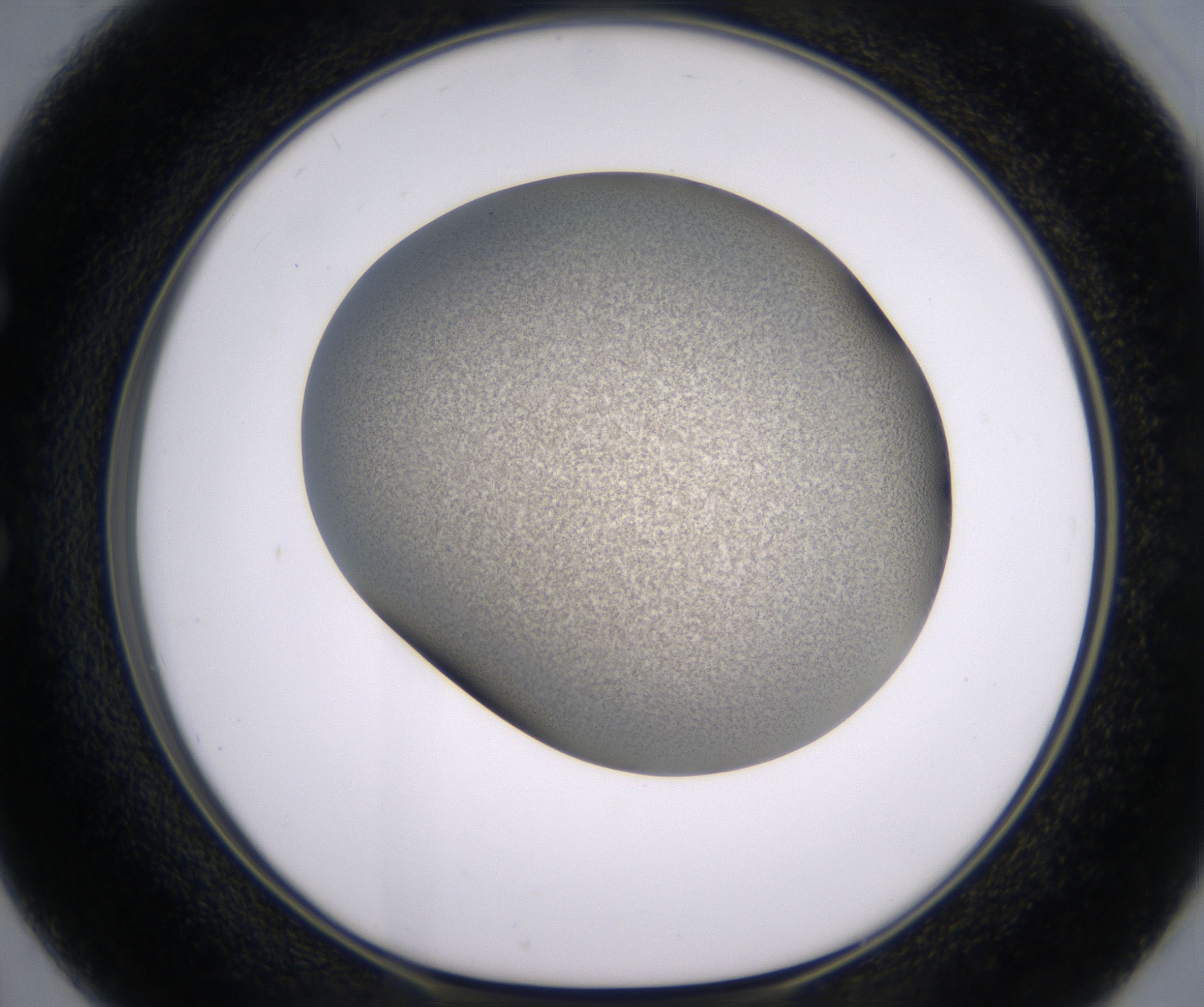 E2_HighResolution_Precipitate_1.jpg