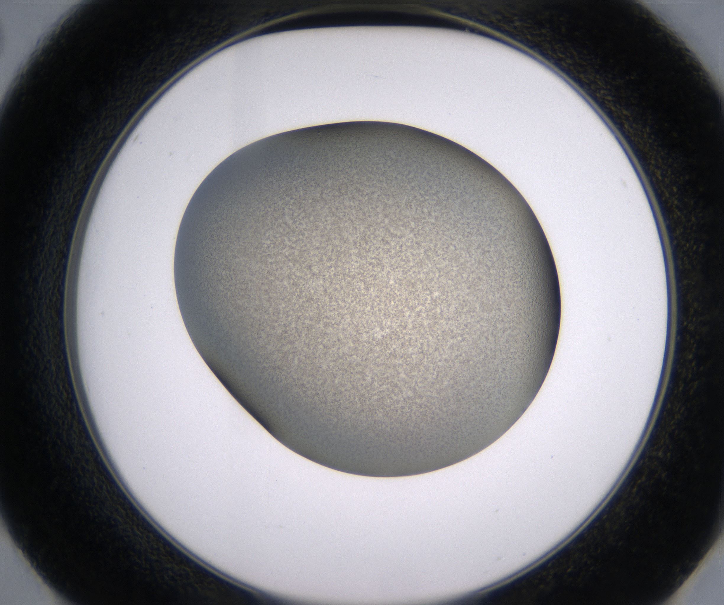 E2_HighResolution_Precipitate_2.jpg