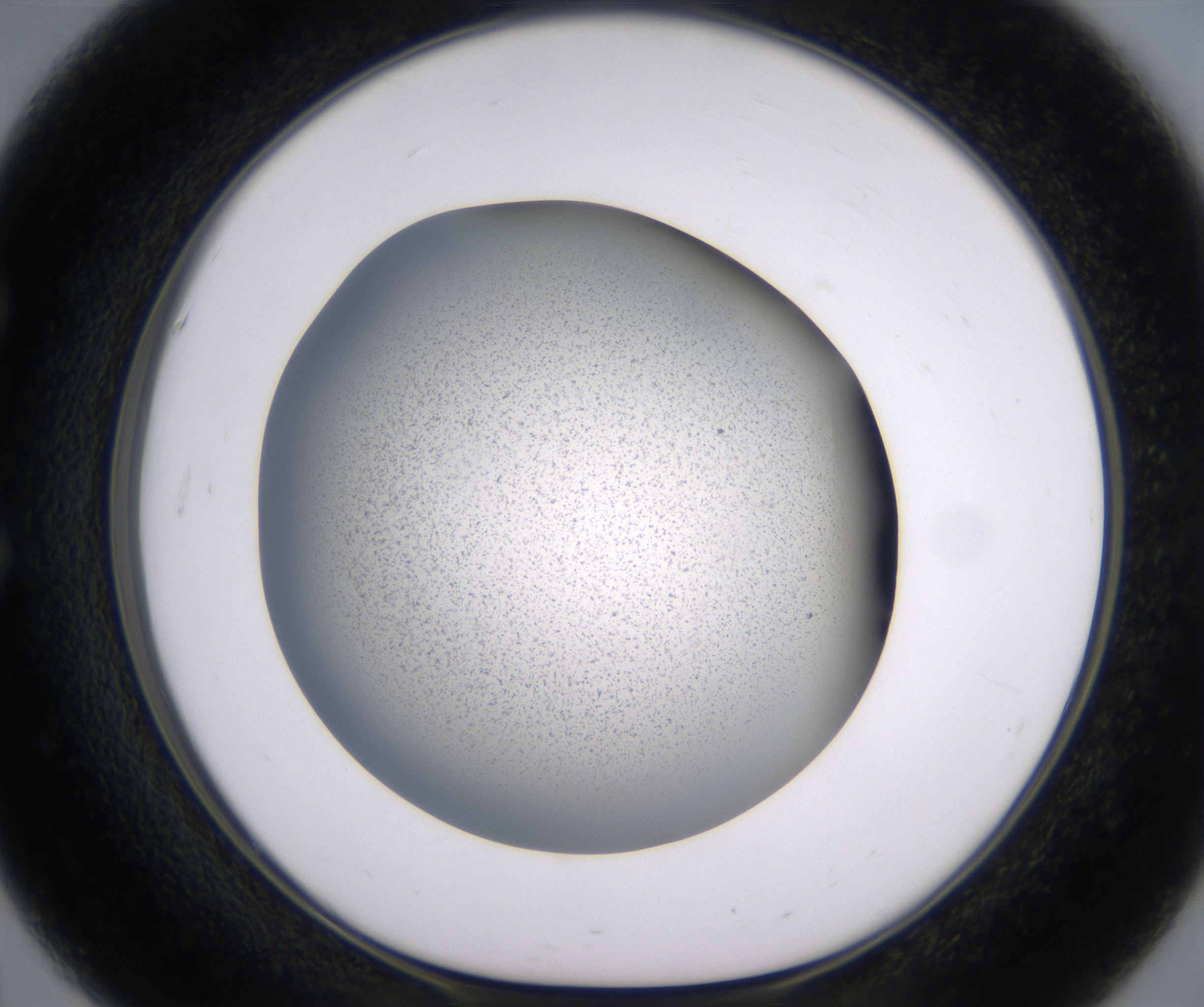 E3_HighResolution_Precipitate_1.jpg