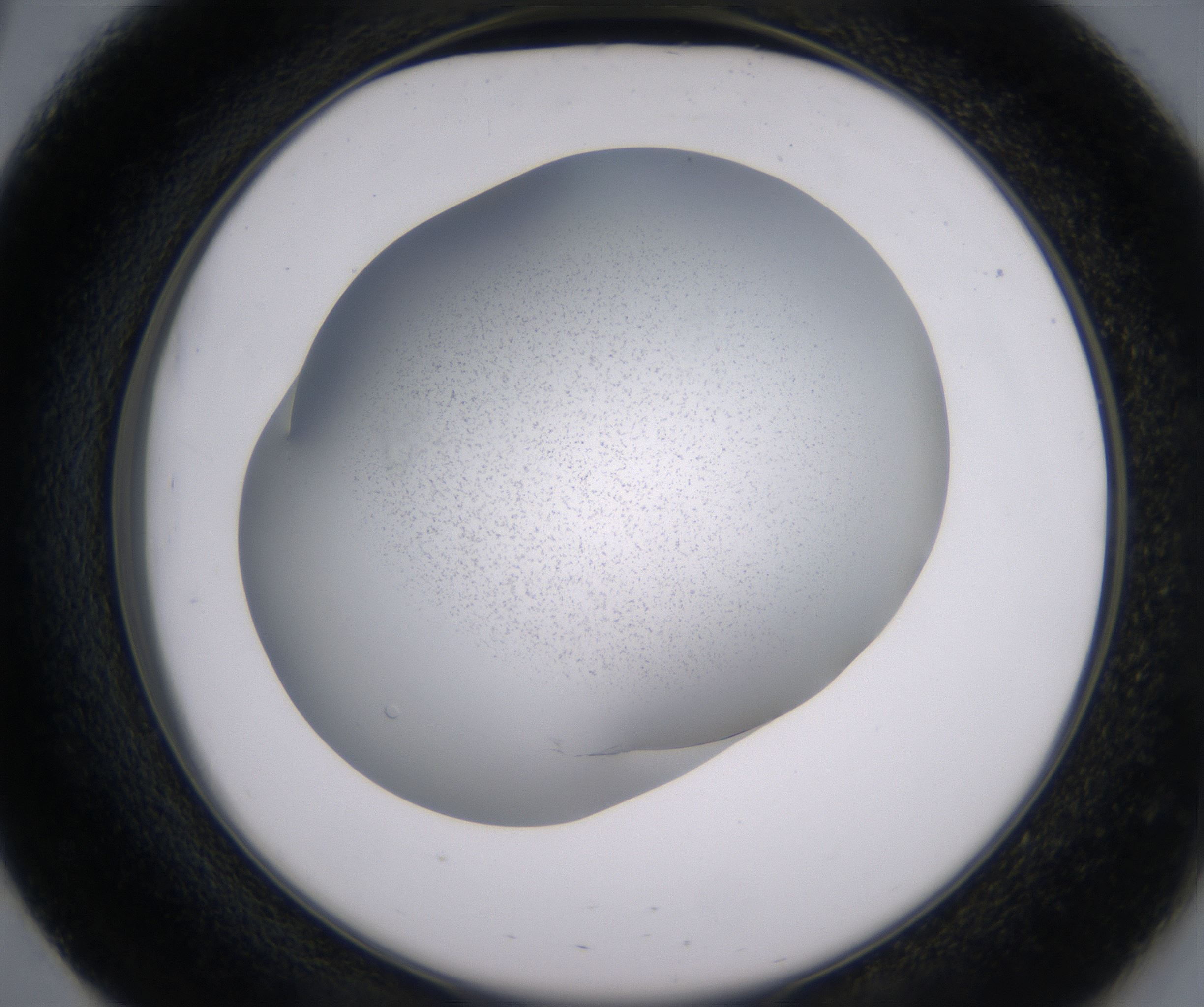 E3_HighResolution_Precipitate_2.jpg