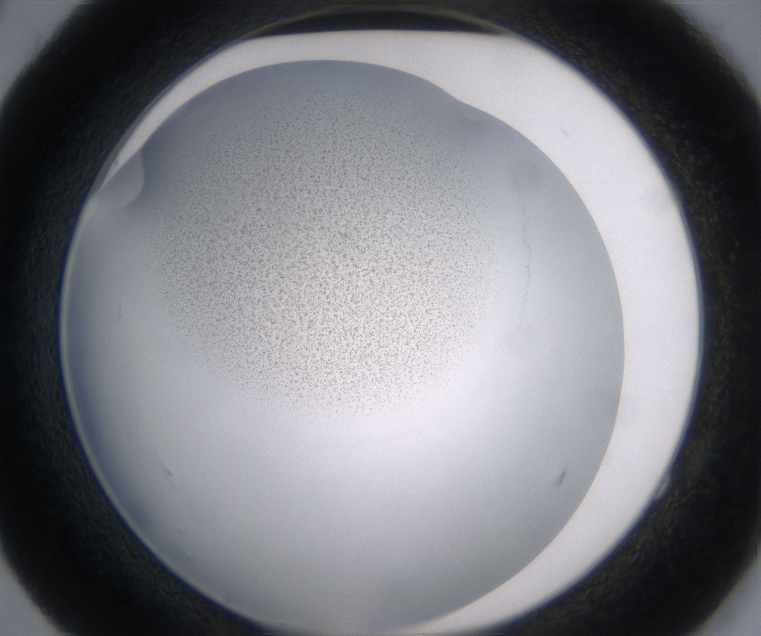 E4_HighResolution_Precipitate_2.jpg