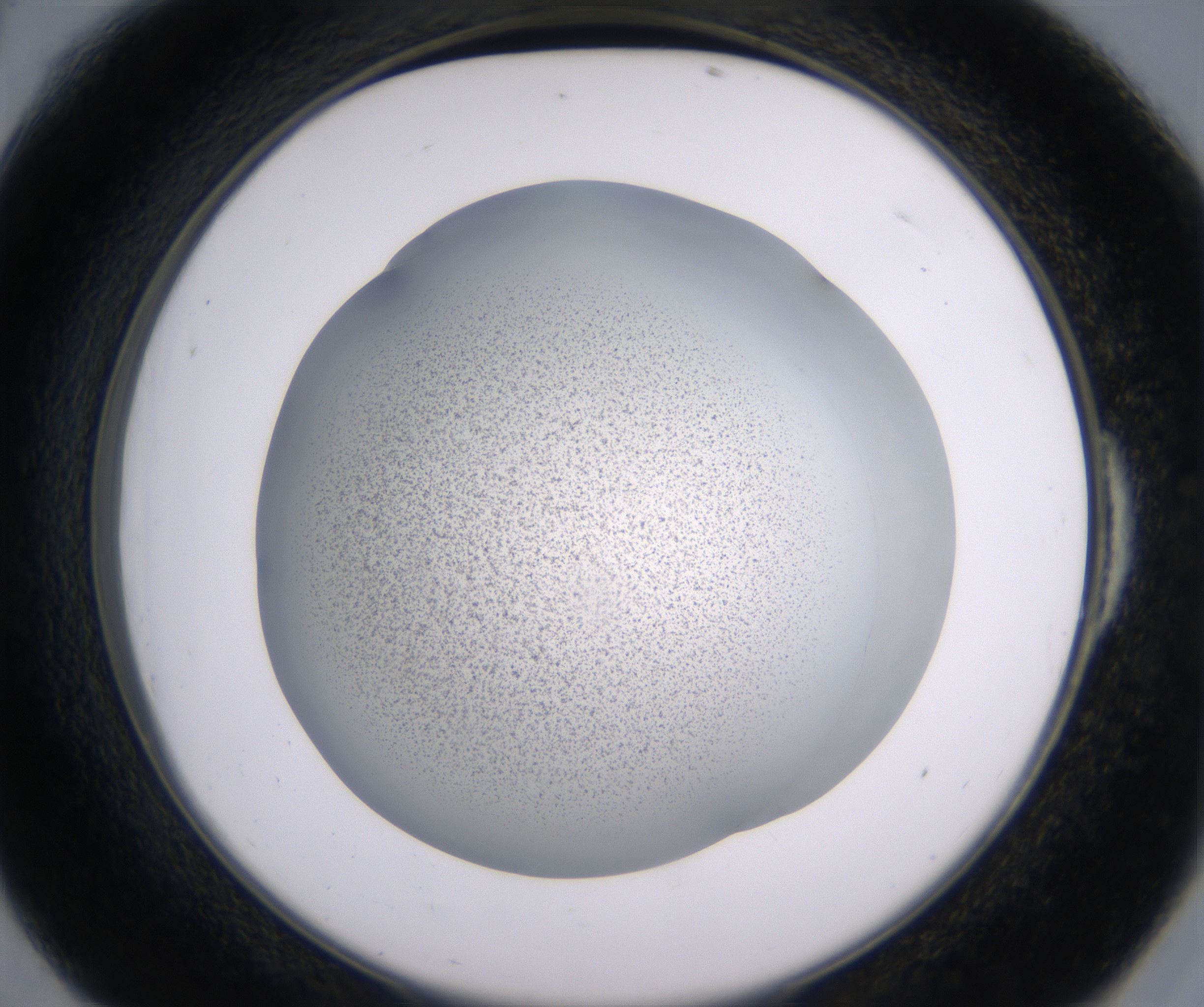 E6_HighResolution_Precipitate_2.jpg