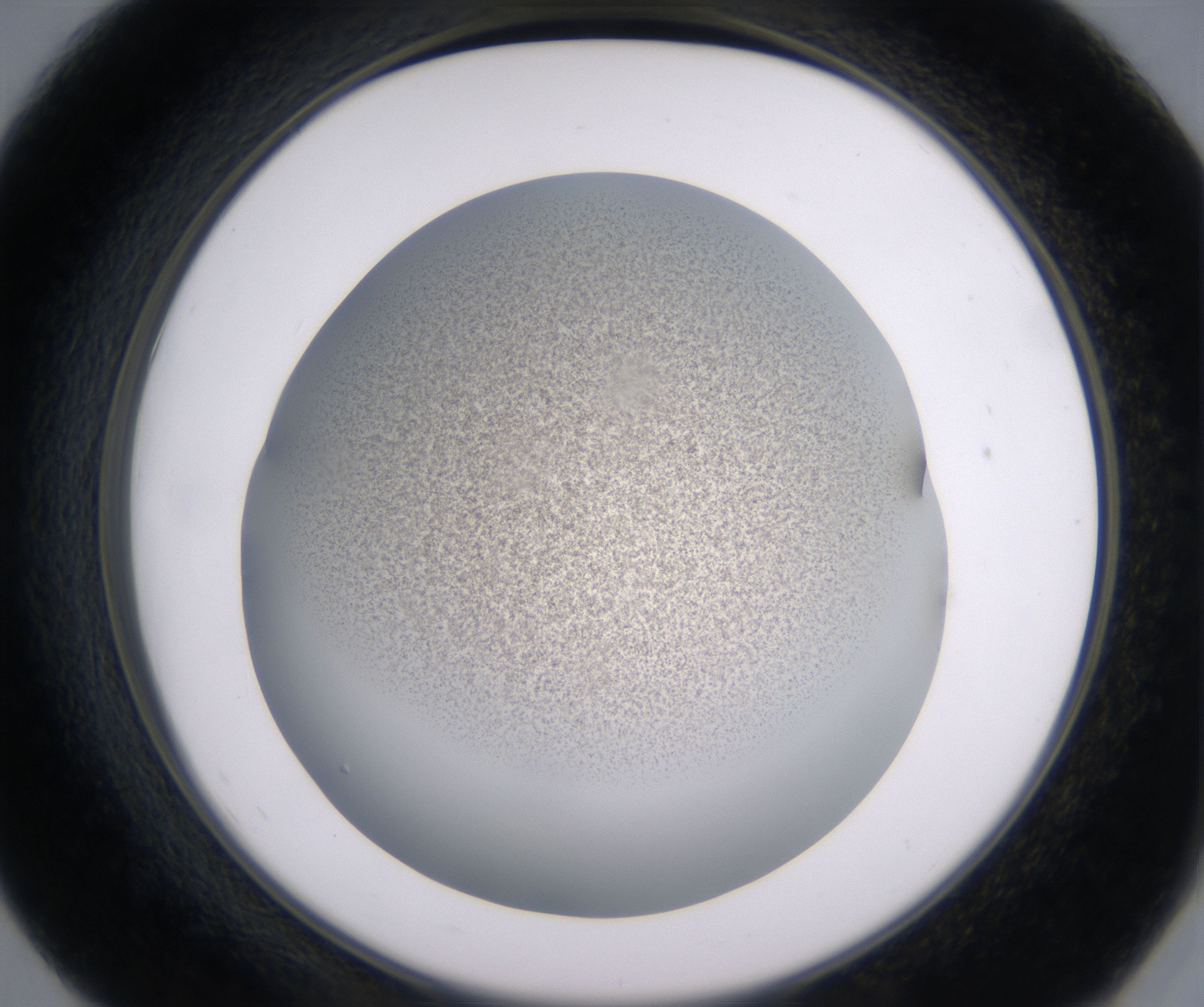 E7_HighResolution_Precipitate_2.jpg