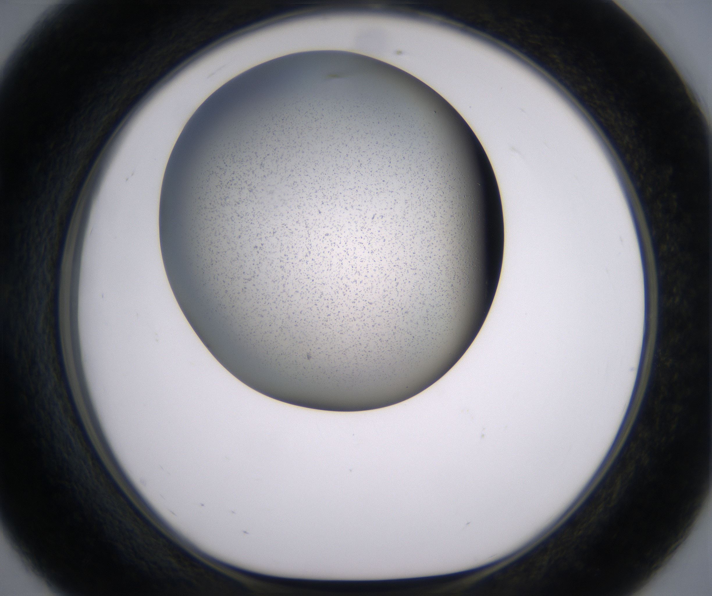 E8_HighResolution_Precipitate_1.jpg