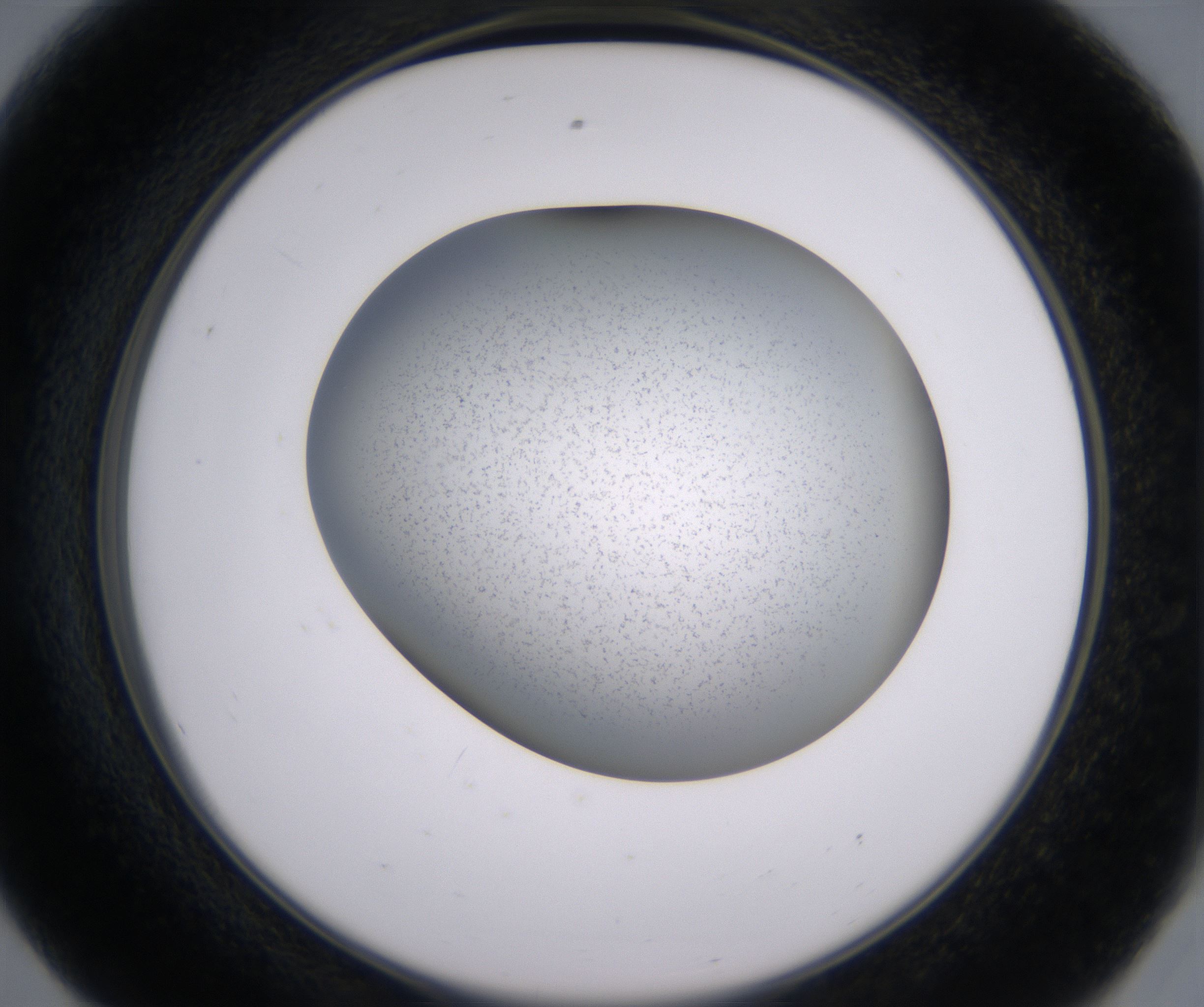 E8_HighResolution_Precipitate_2.jpg