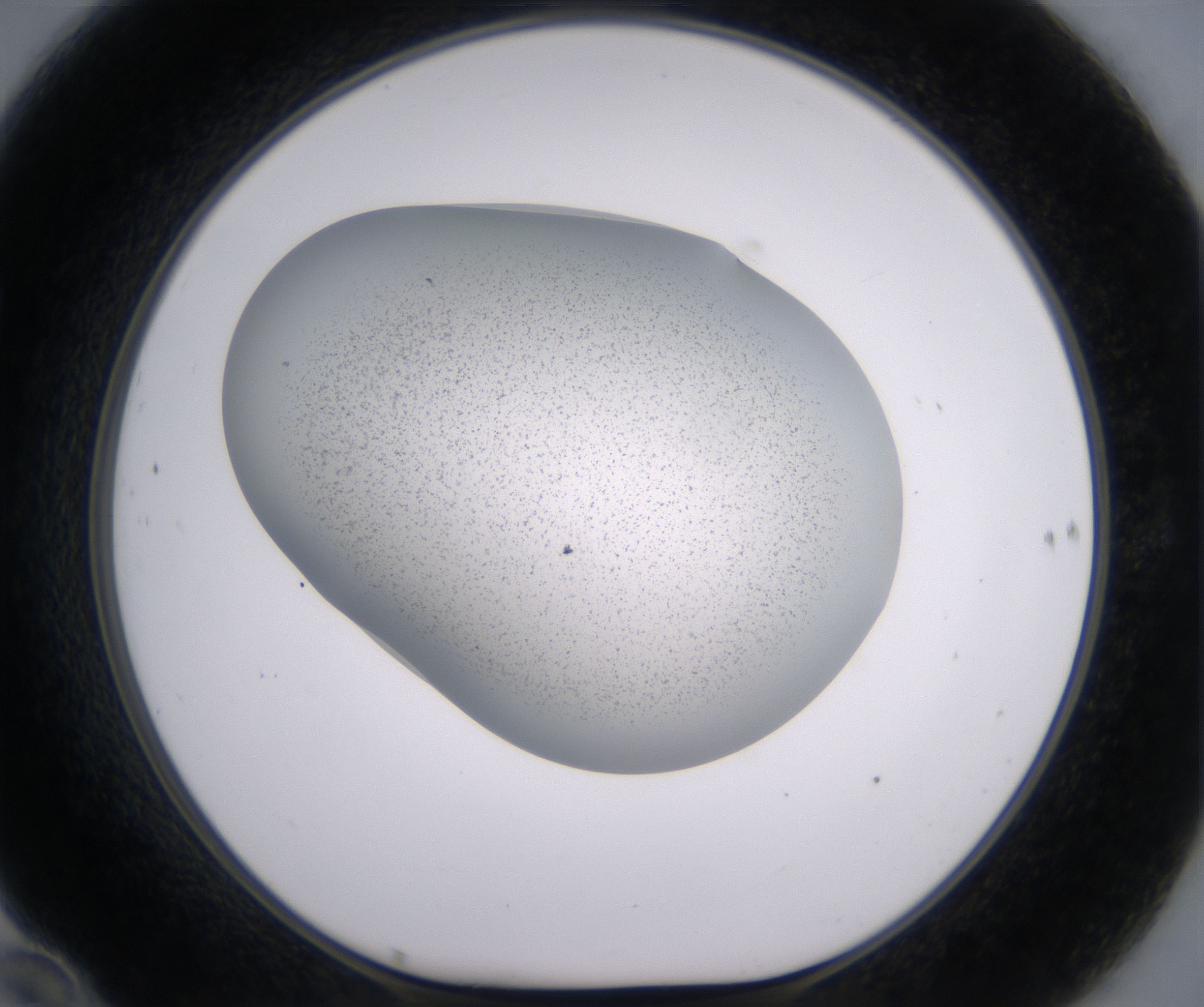 F10_HighResolution_Precipitate_1.jpg