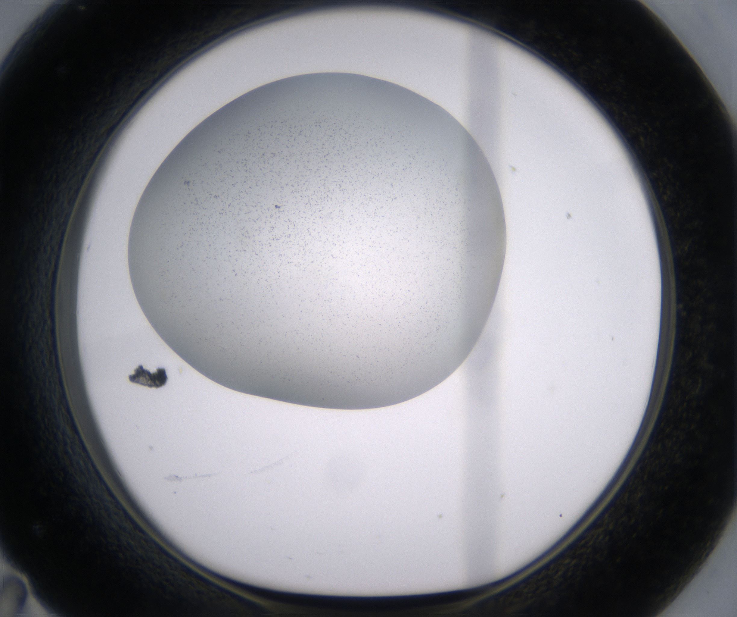 F11_HighResolution_Precipitate_1.jpg