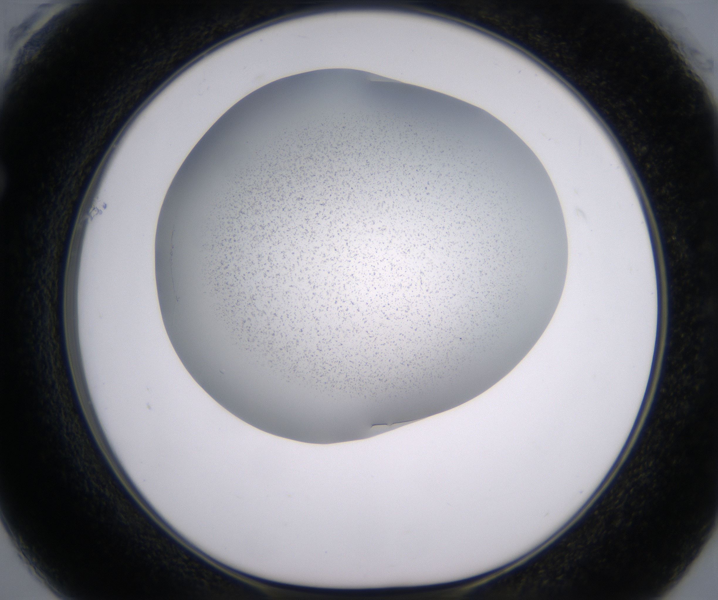 F1_HighResolution_Precipitate_1.jpg