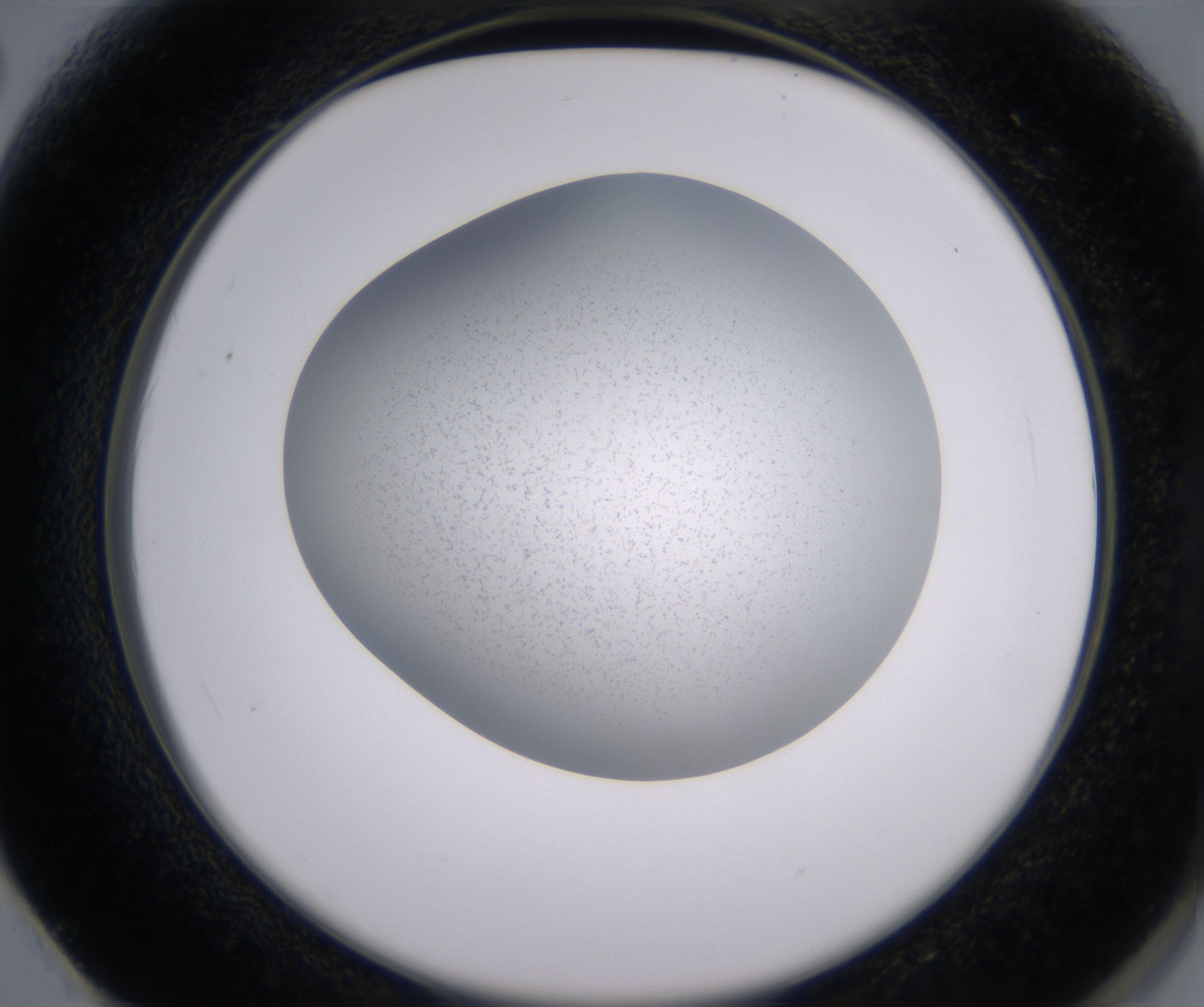 F2_HighResolution_Clear_2.jpg