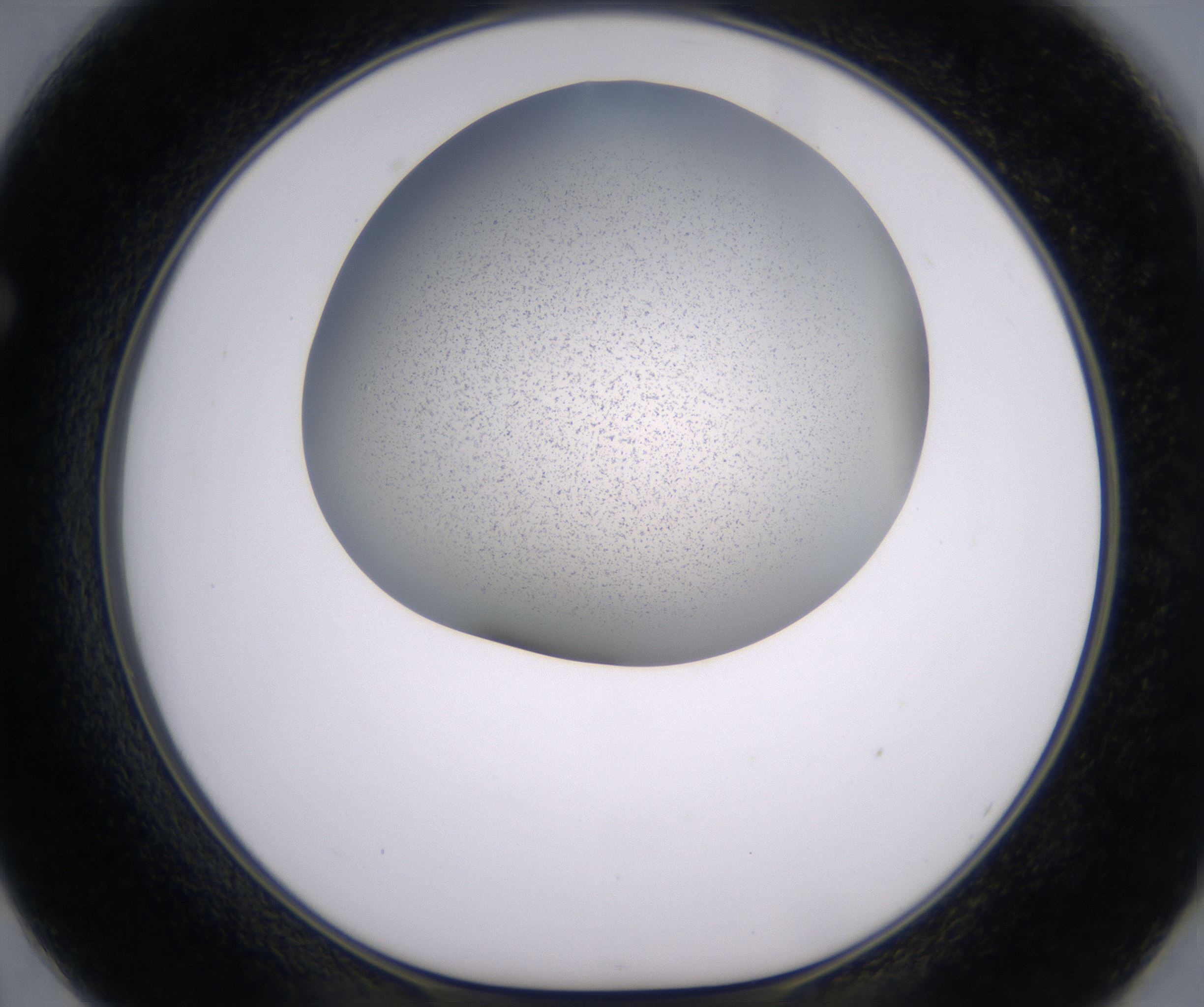 F2_HighResolution_Precipitate_1.jpg