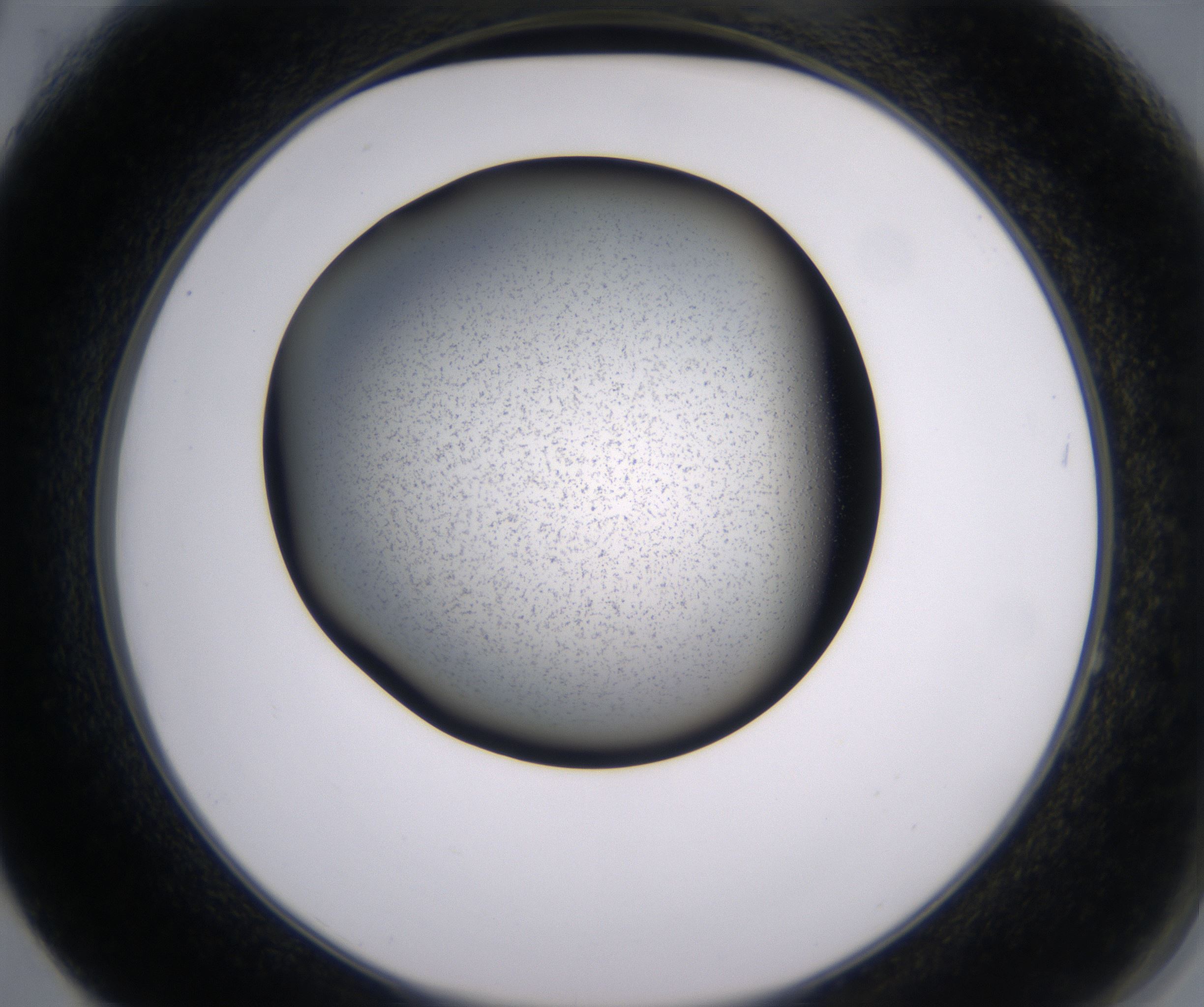 F4_HighResolution_Precipitate_2.jpg