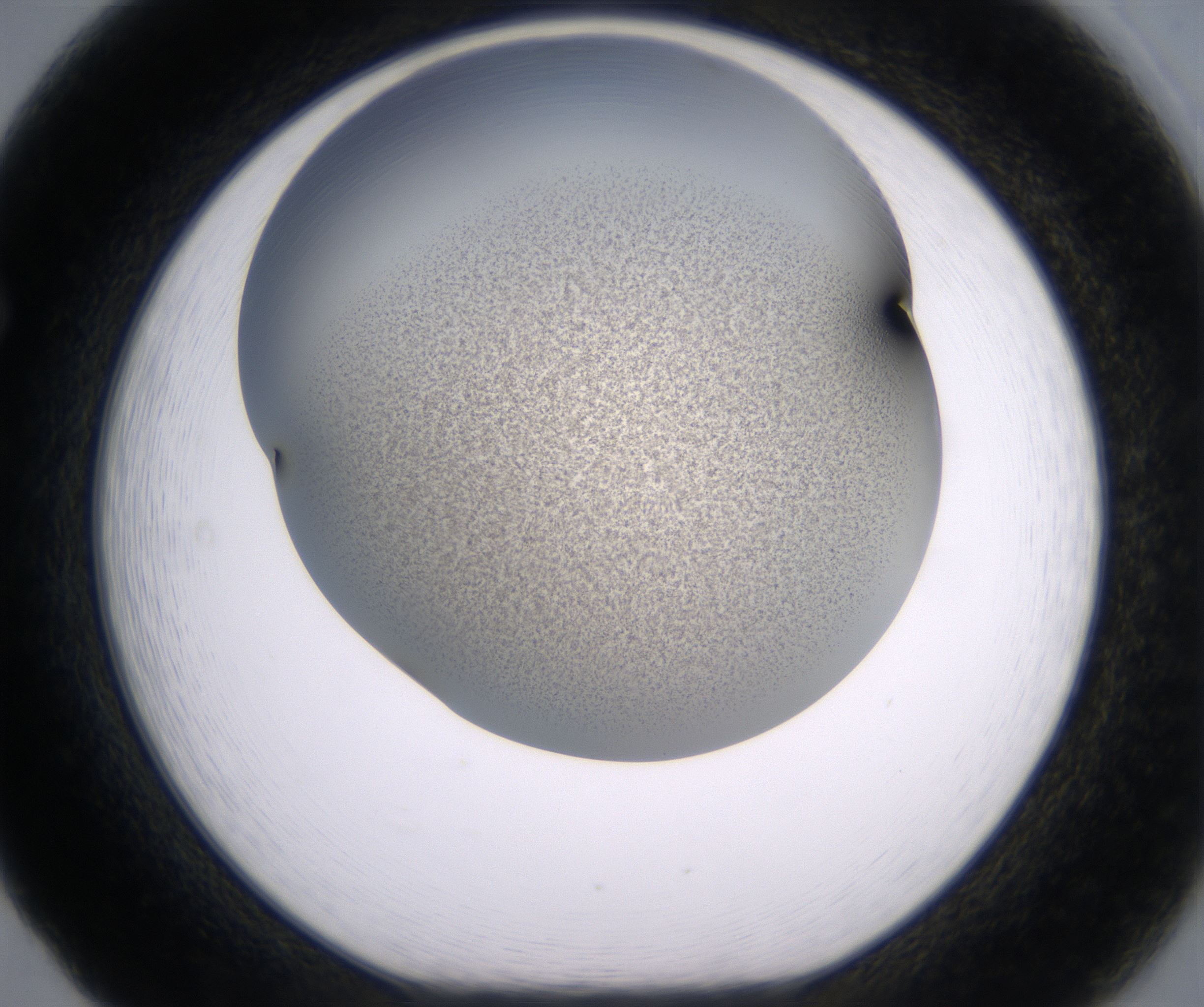 F5_HighResolution_Precipitate_1.jpg