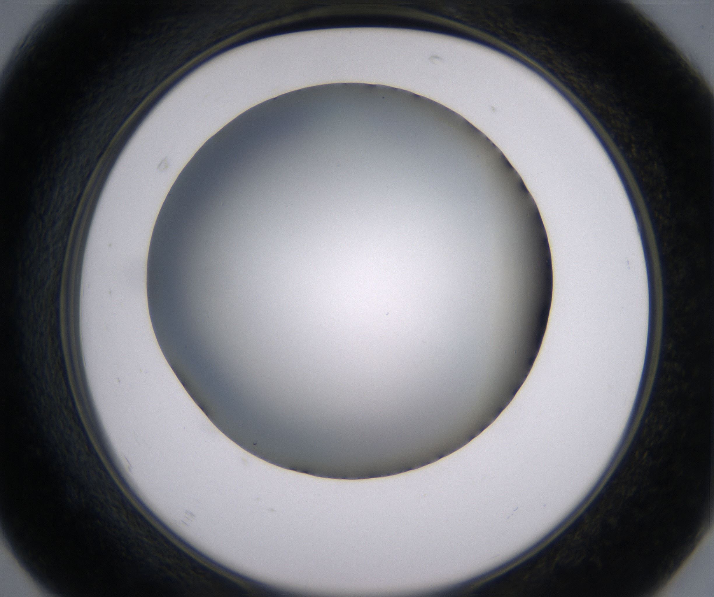 F7_HighResolution_Clear_2.jpg