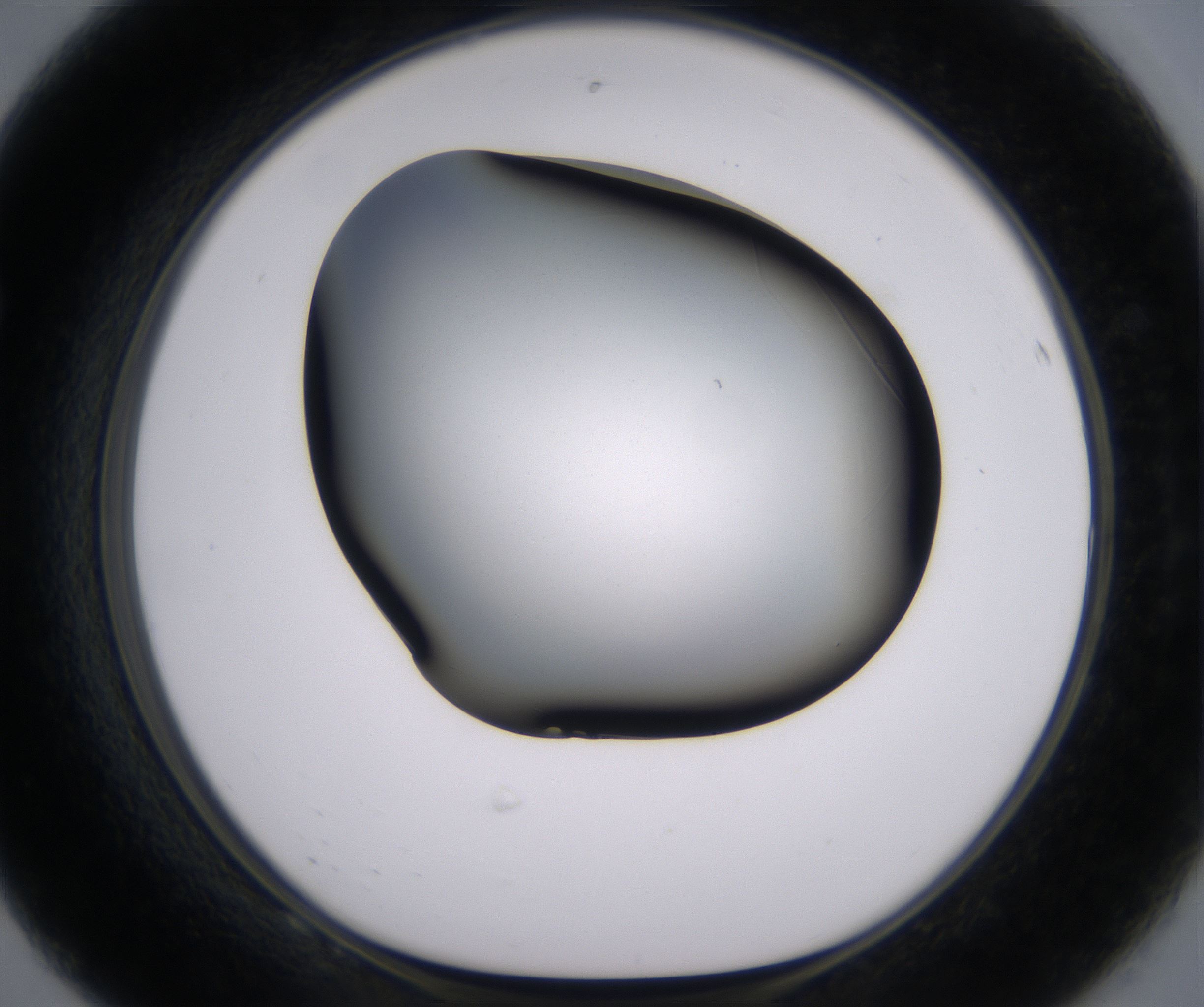 F8_HighResolution_Clear_1.jpg