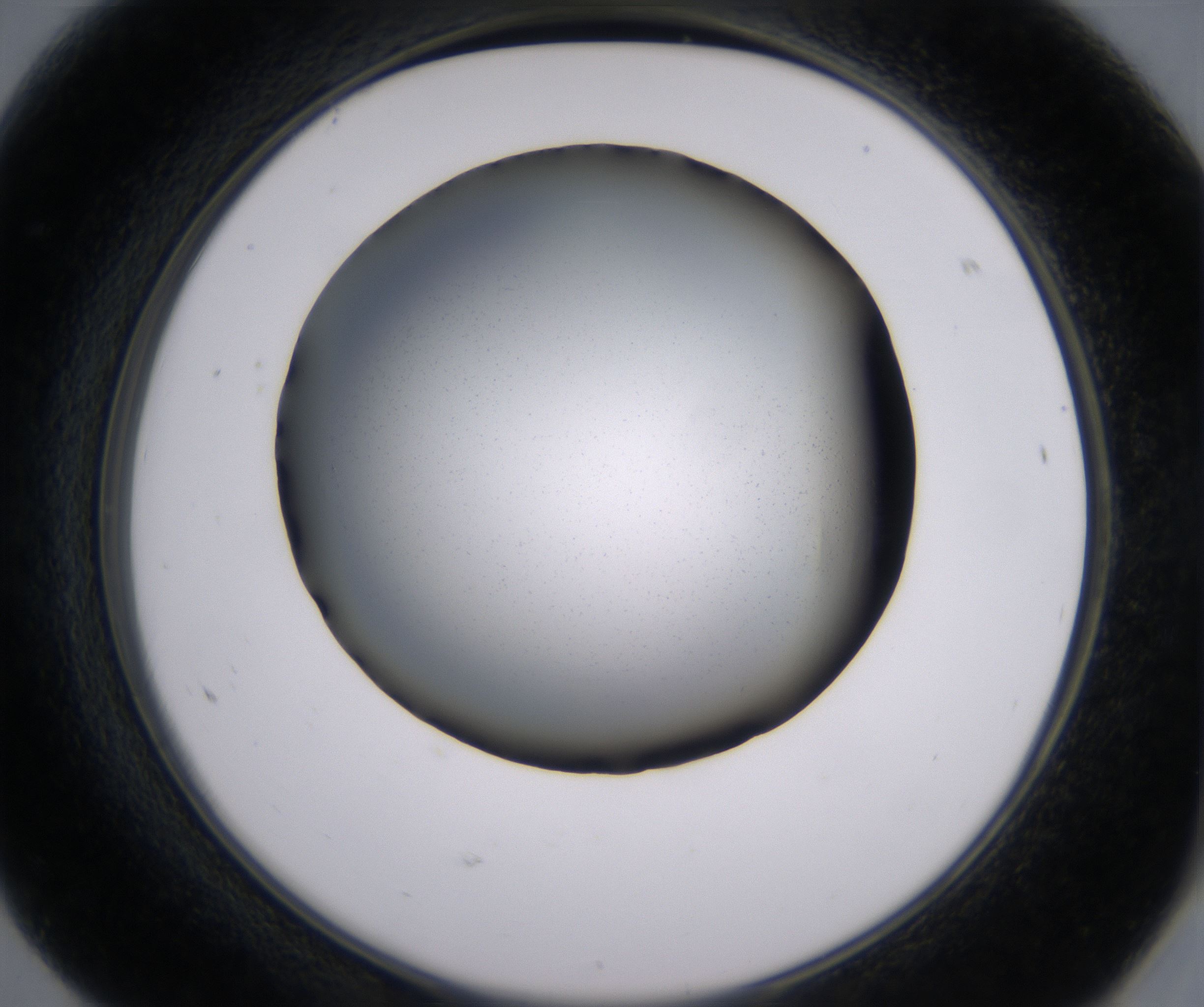 F8_HighResolution_Clear_2.jpg