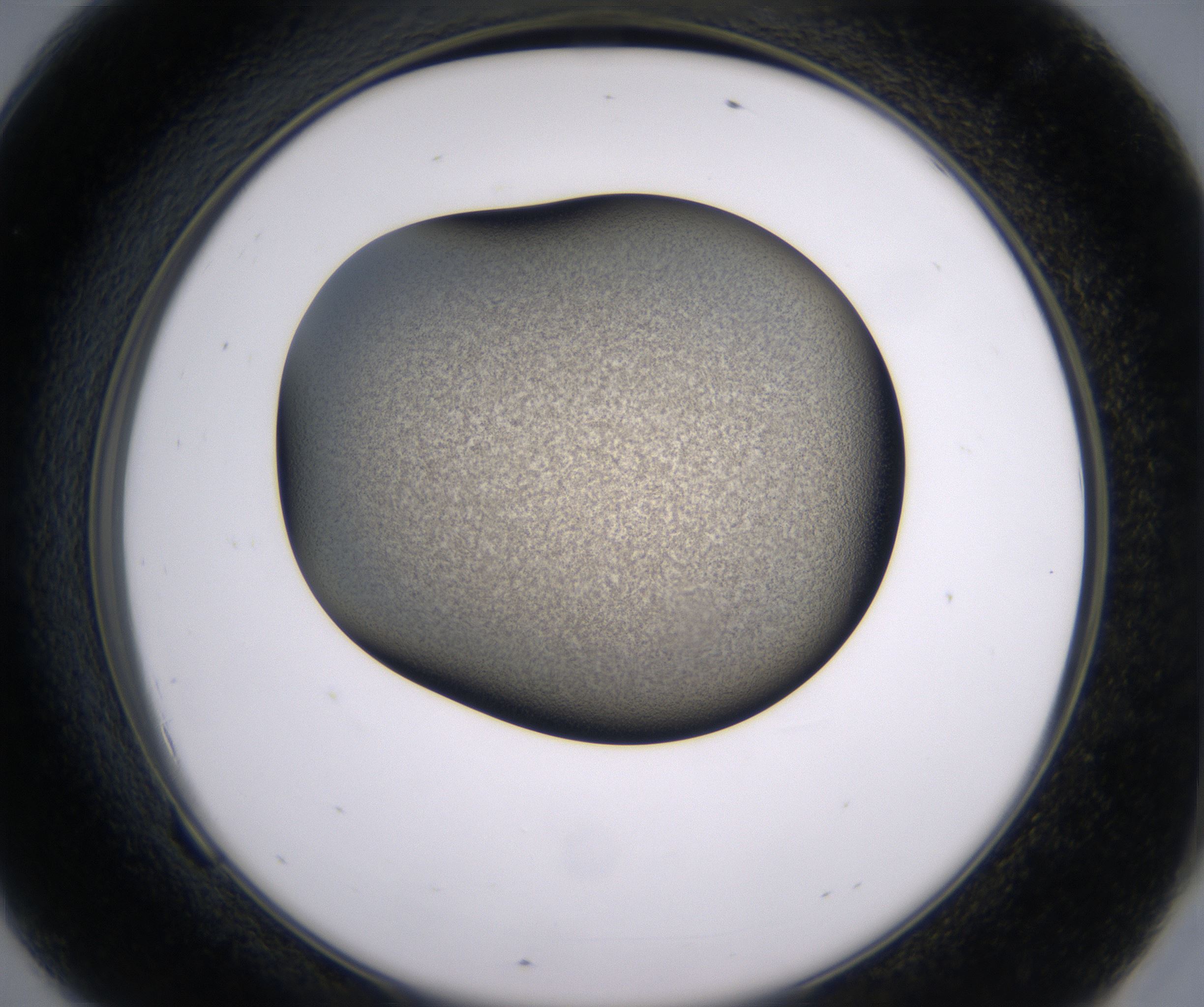 F9_HighResolution_Precipitate_2.jpg