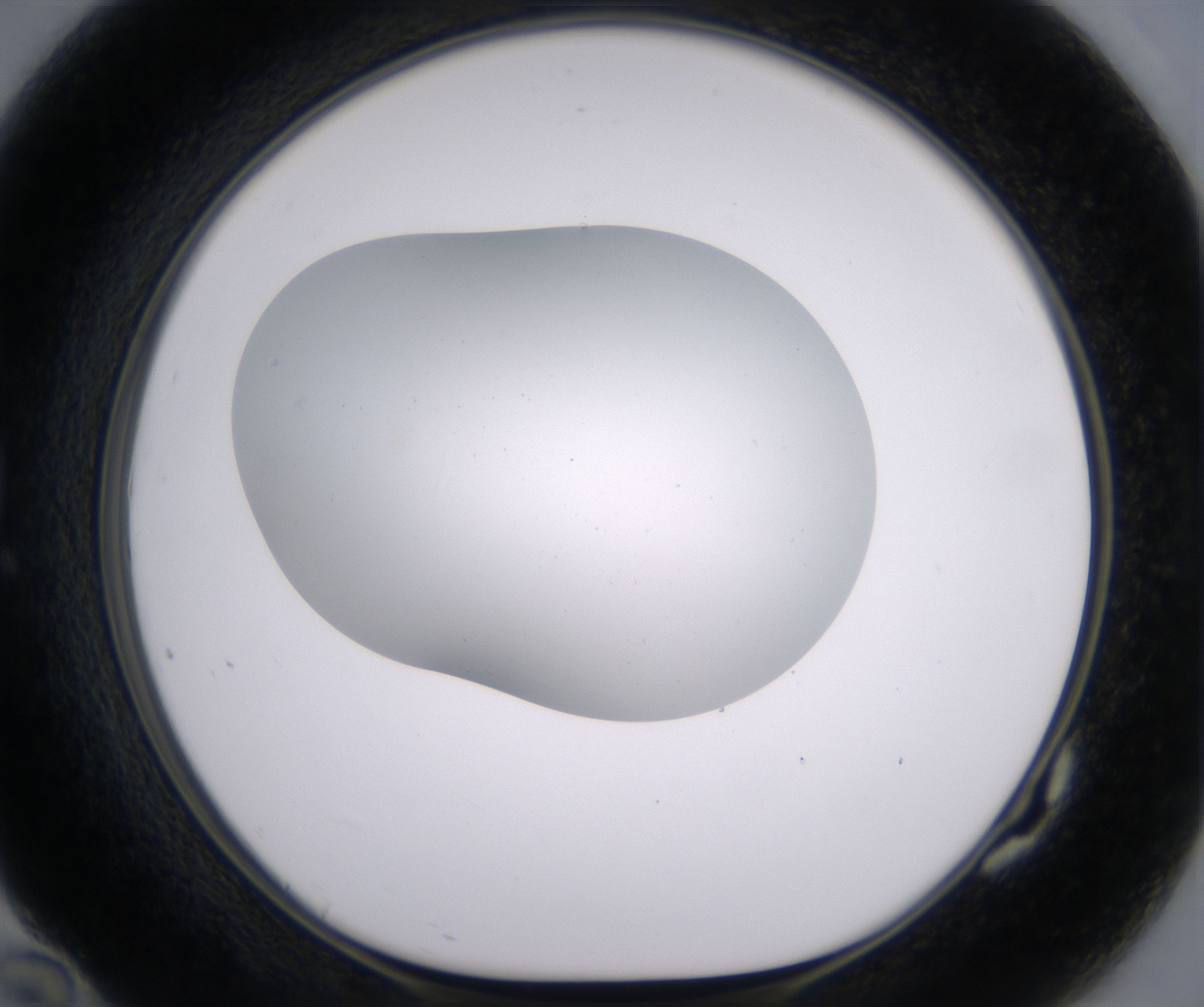 G10_HighResolution_Clear_1.jpg