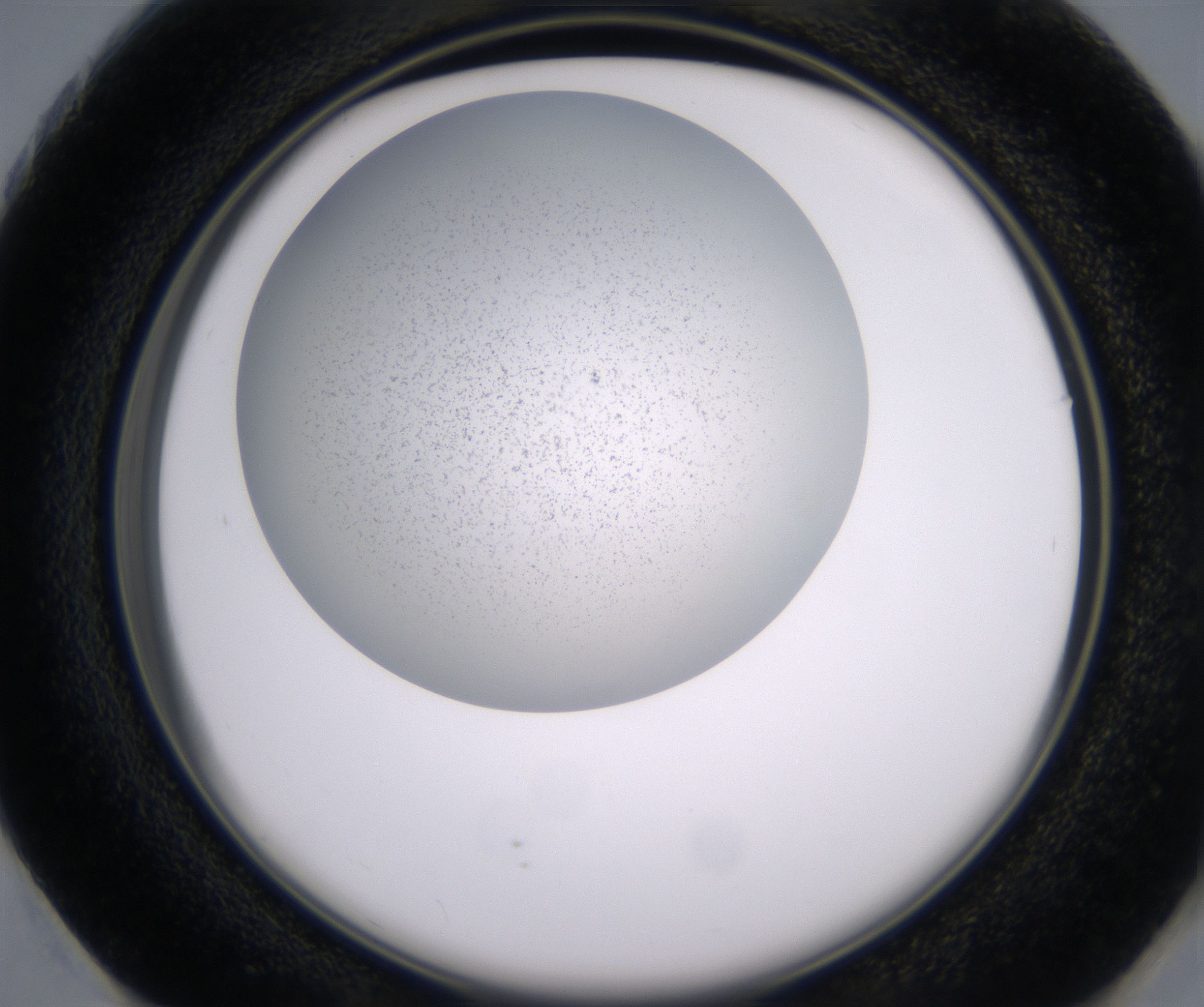 G1_HighResolution_Clear_2.jpg