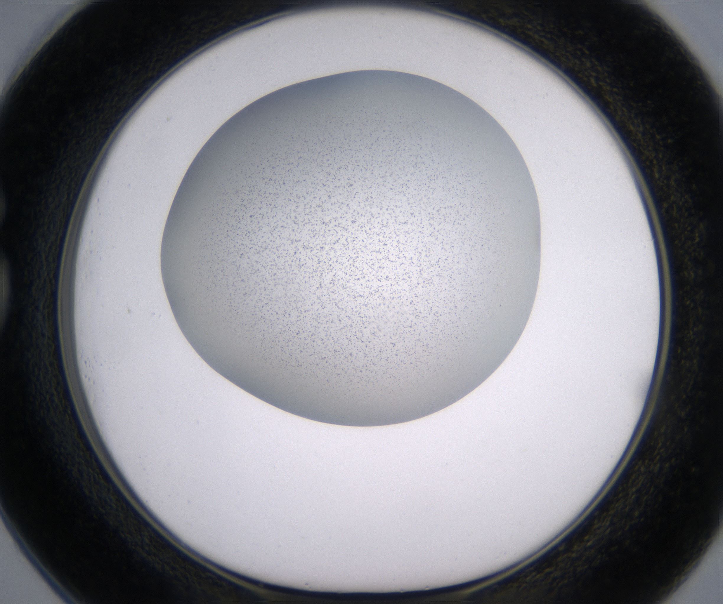 G1_HighResolution_Precipitate_1.jpg