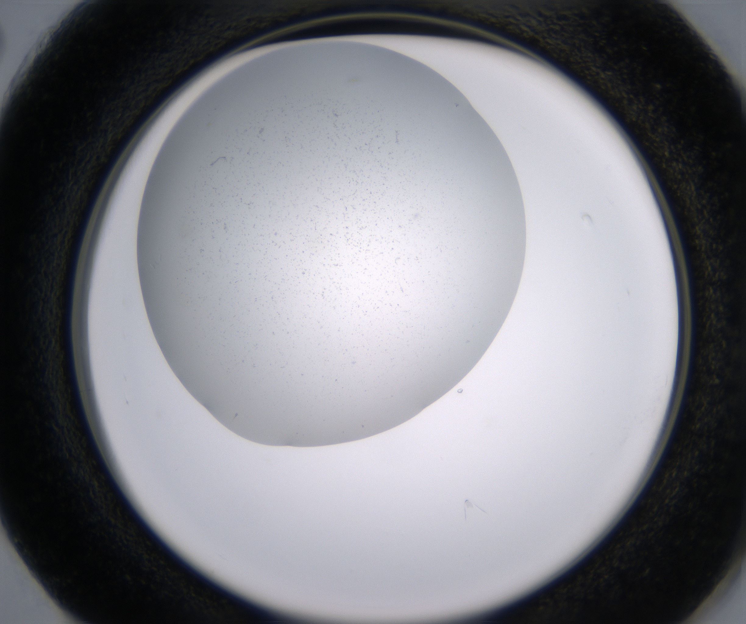 G2_HighResolution_Clear_2.jpg