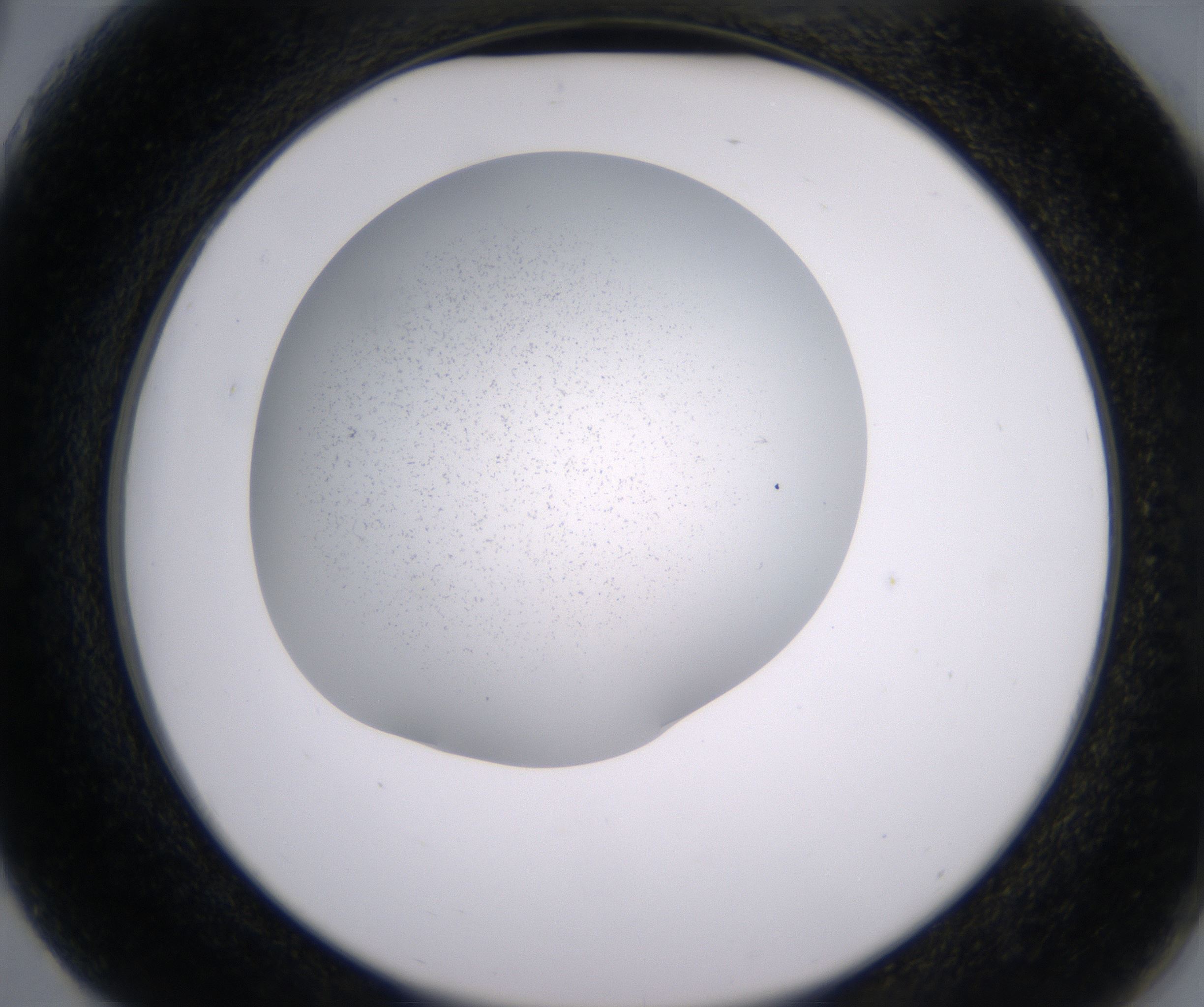 G3_HighResolution_Clear_2.jpg