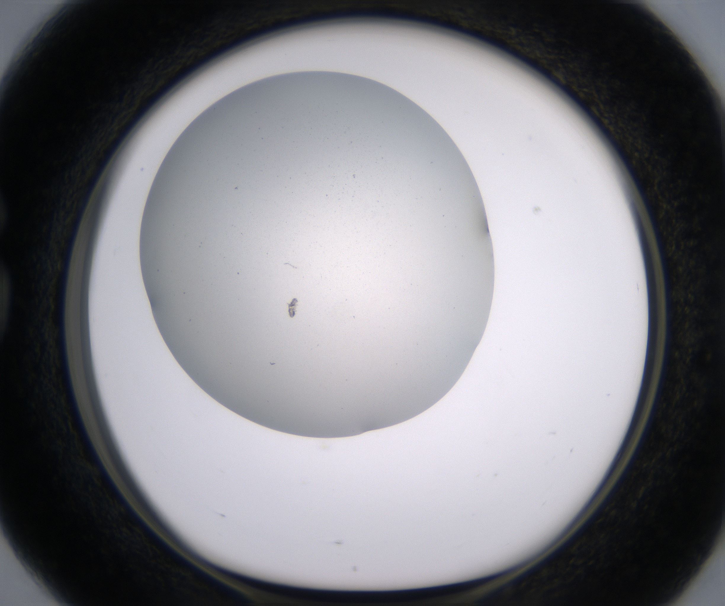 G4_HighResolution_Clear_1.jpg