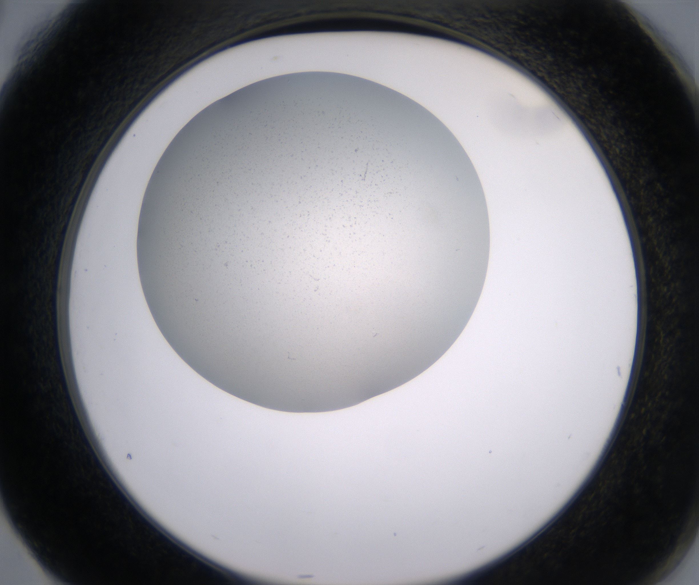 G4_HighResolution_Precipitate_2.jpg