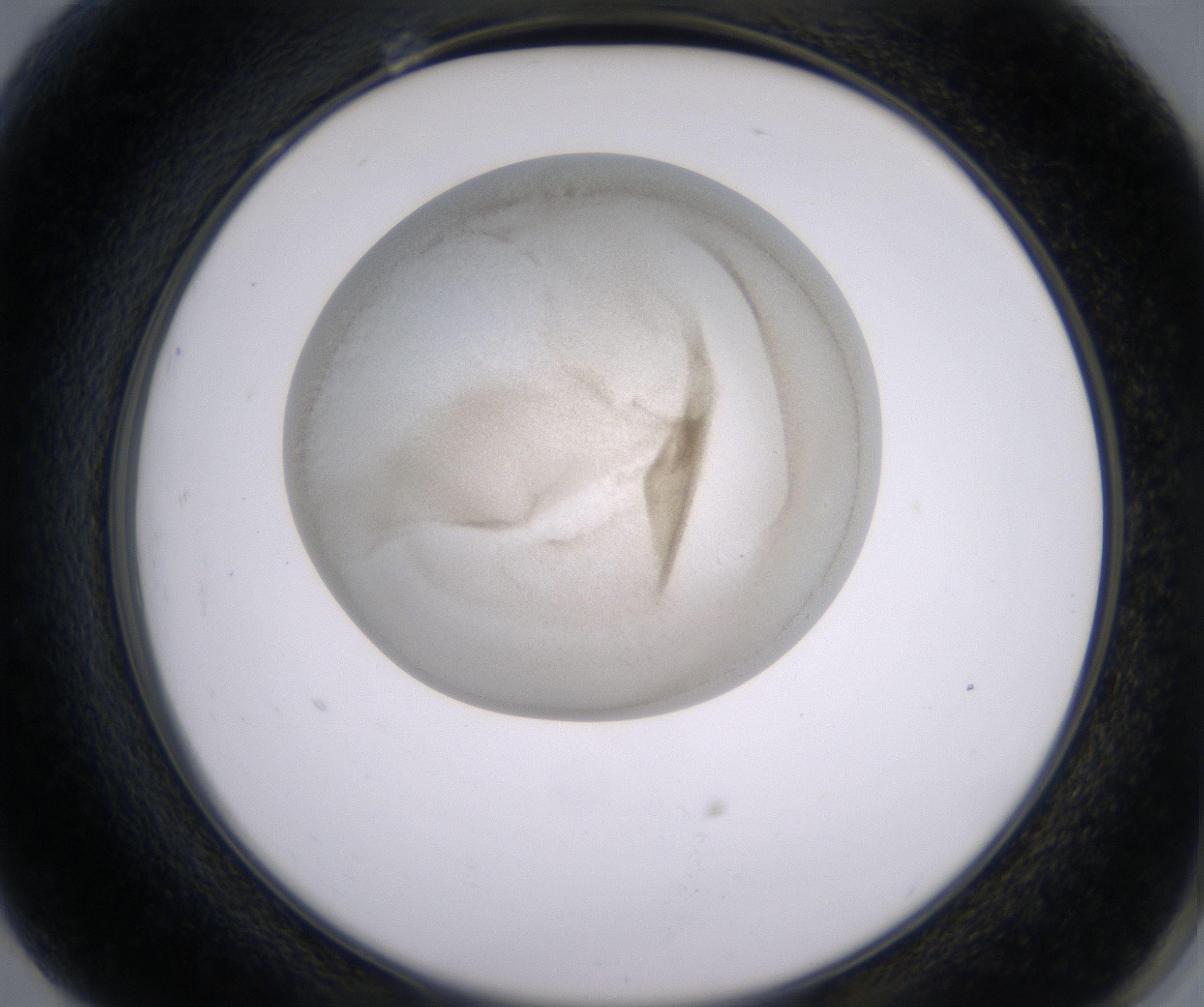 G7_HighResolution_Precipitate_2.jpg