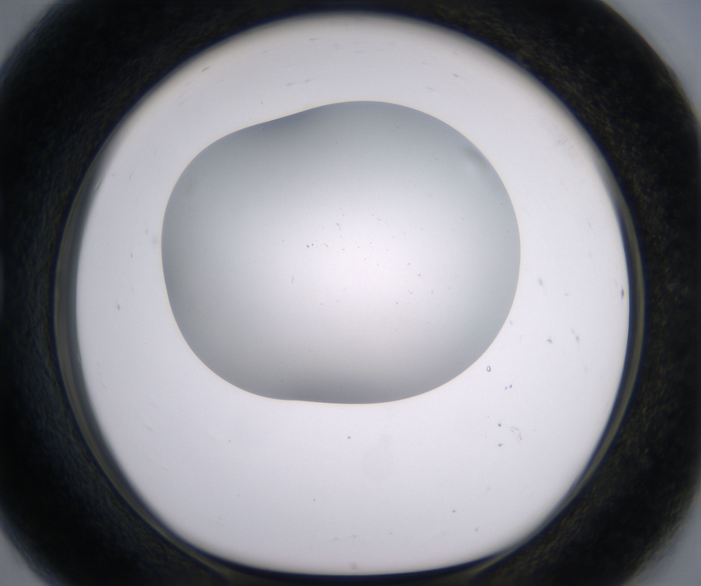 G8_HighResolution_Clear_1.jpg
