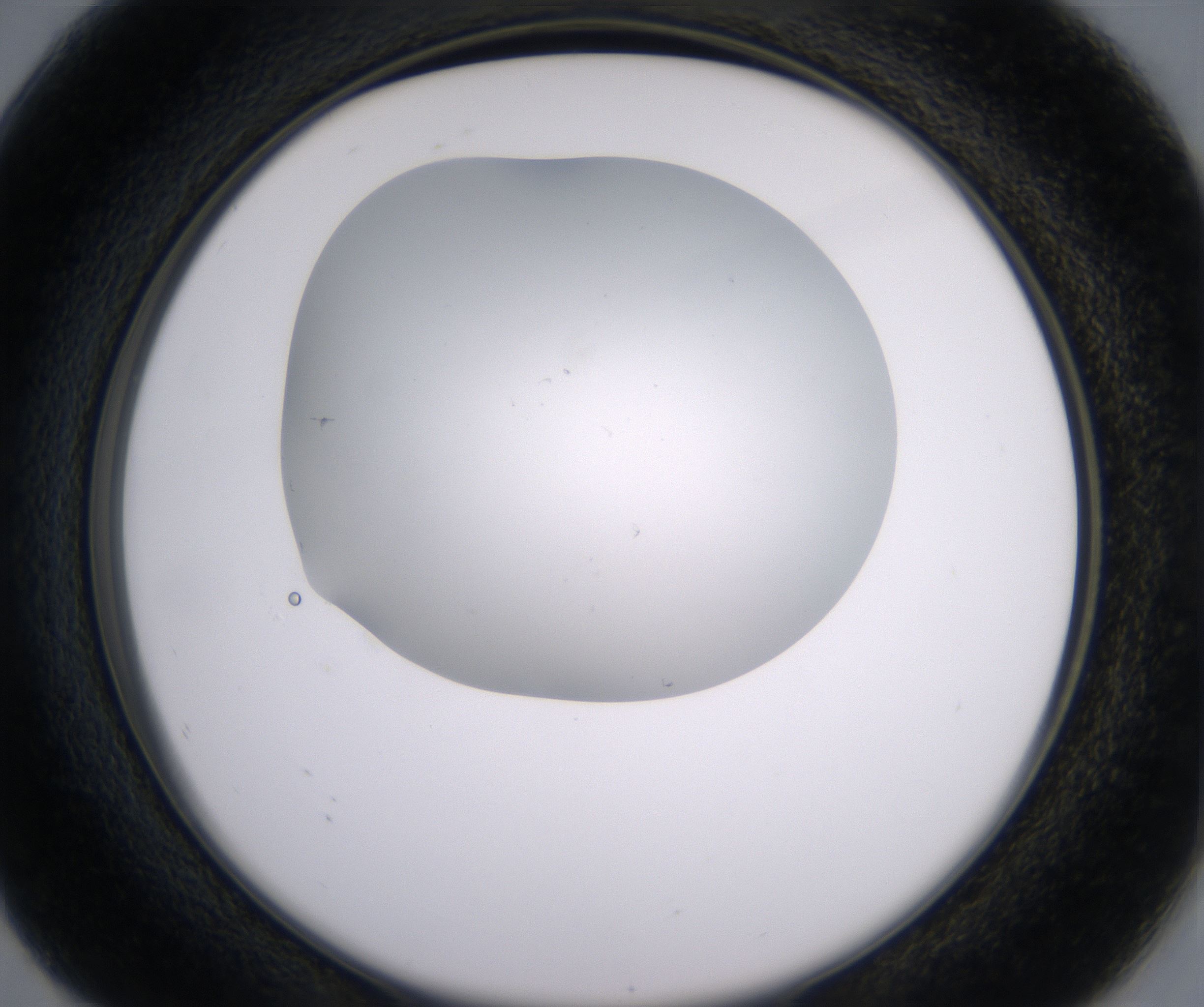 G8_HighResolution_Clear_2.jpg
